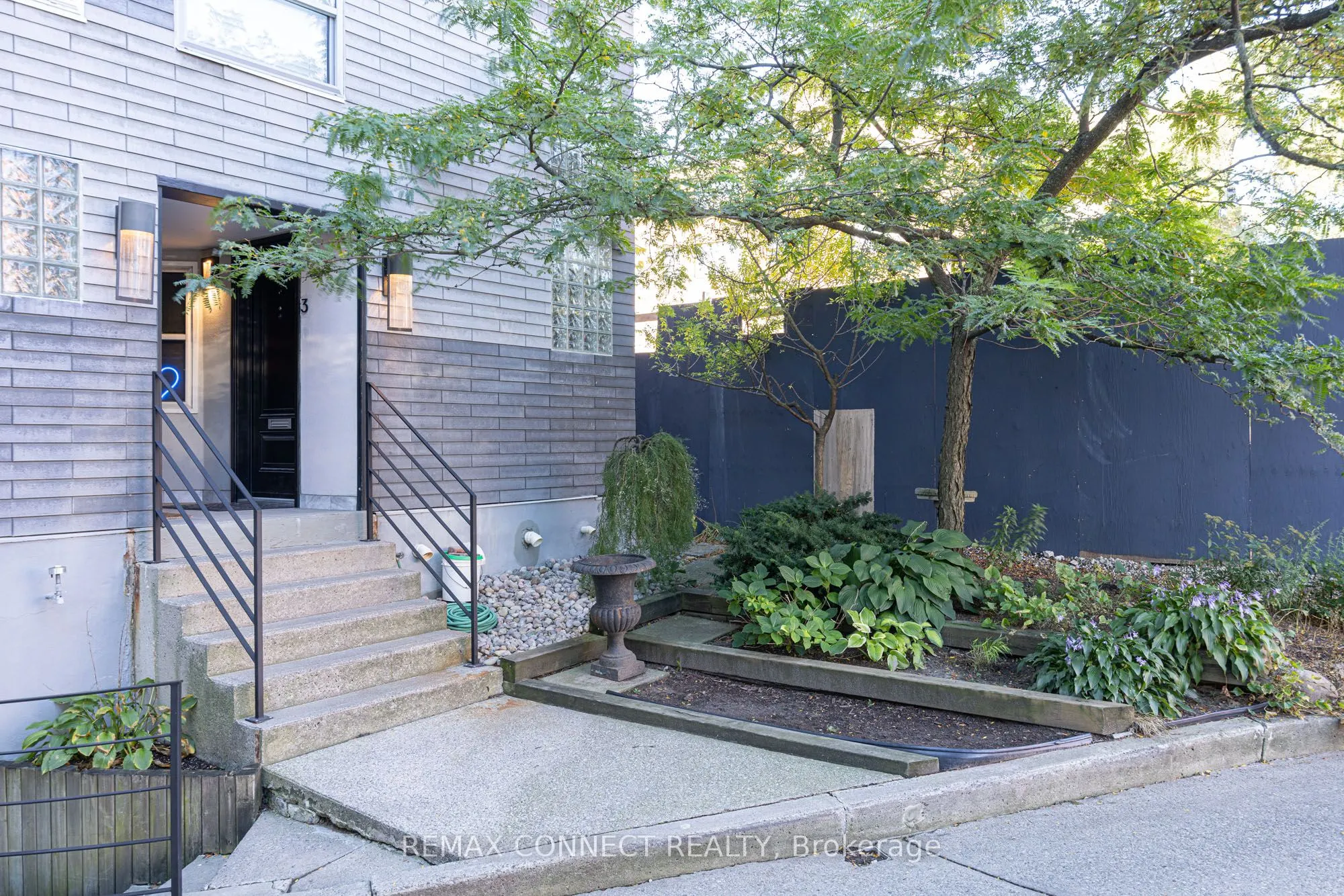 517 Kingston Road #4