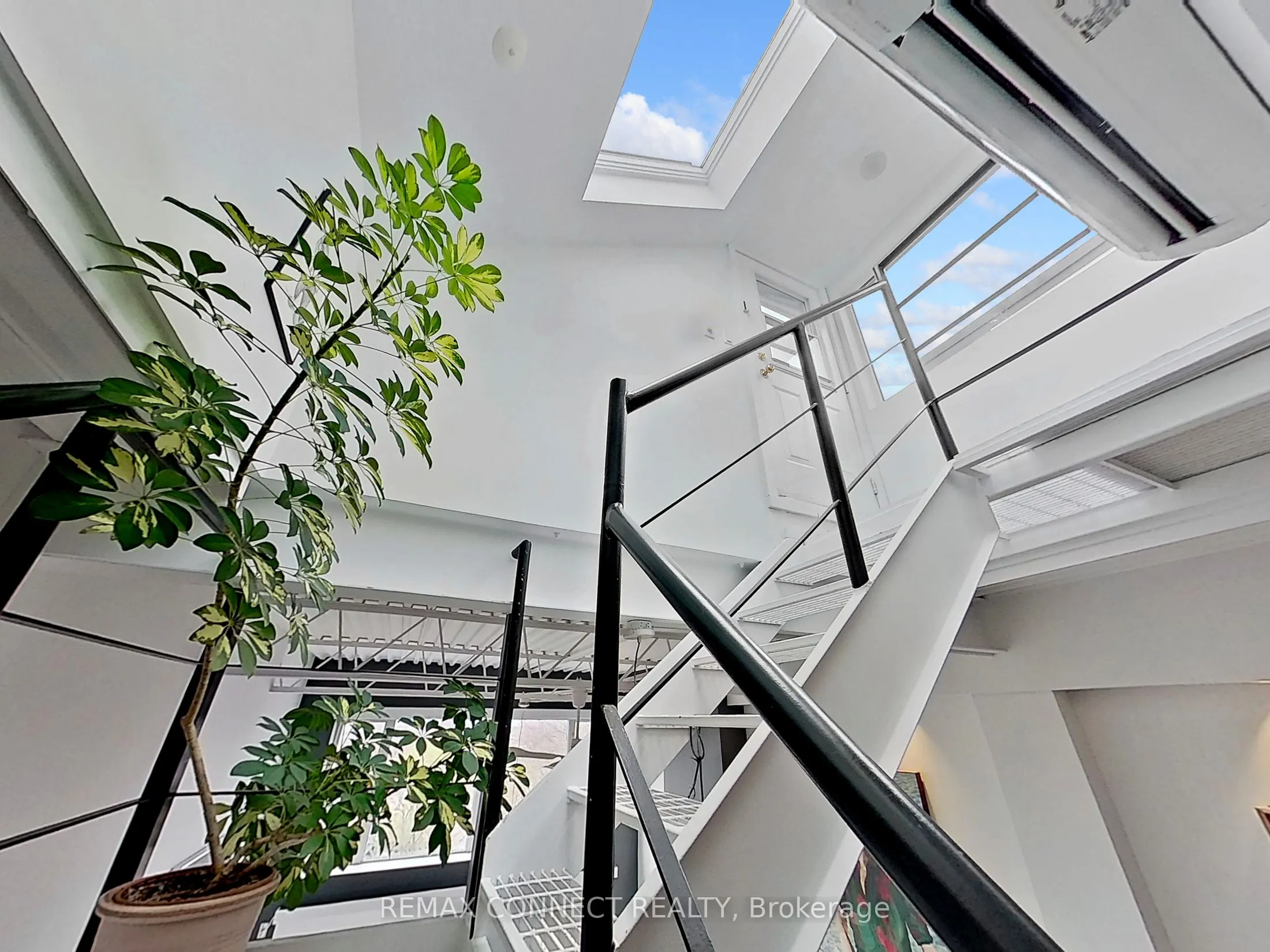 517 Kingston Road #4