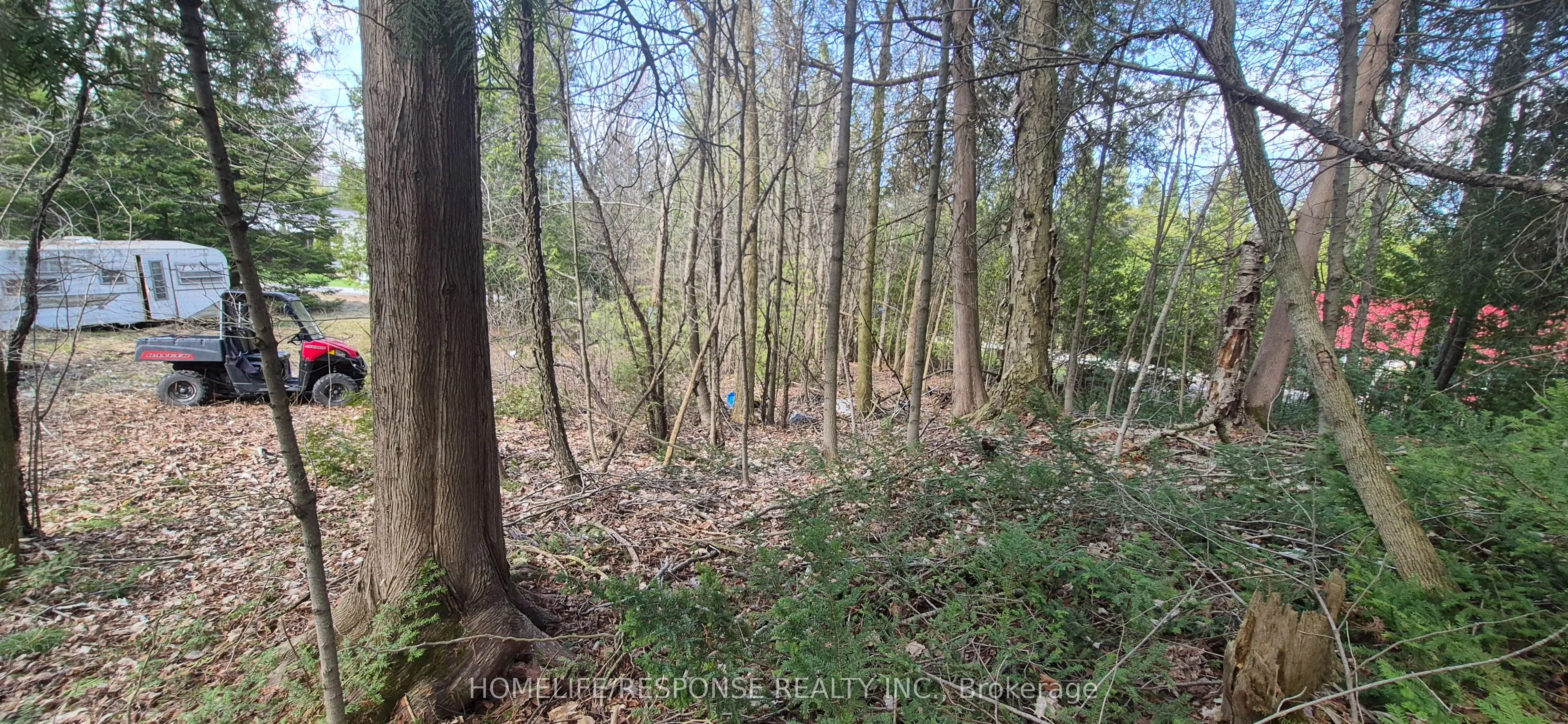48 WALDWEG