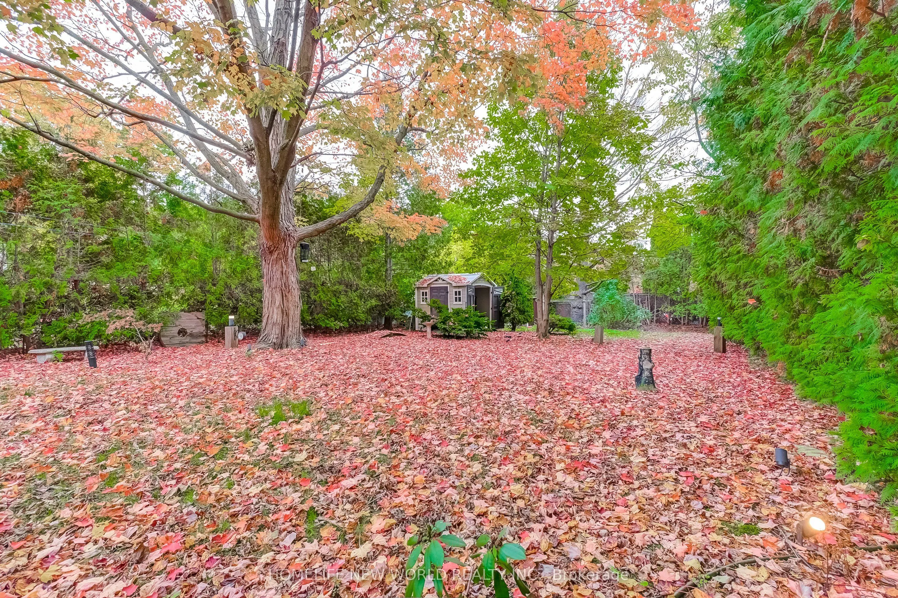 59 Bobmar Road