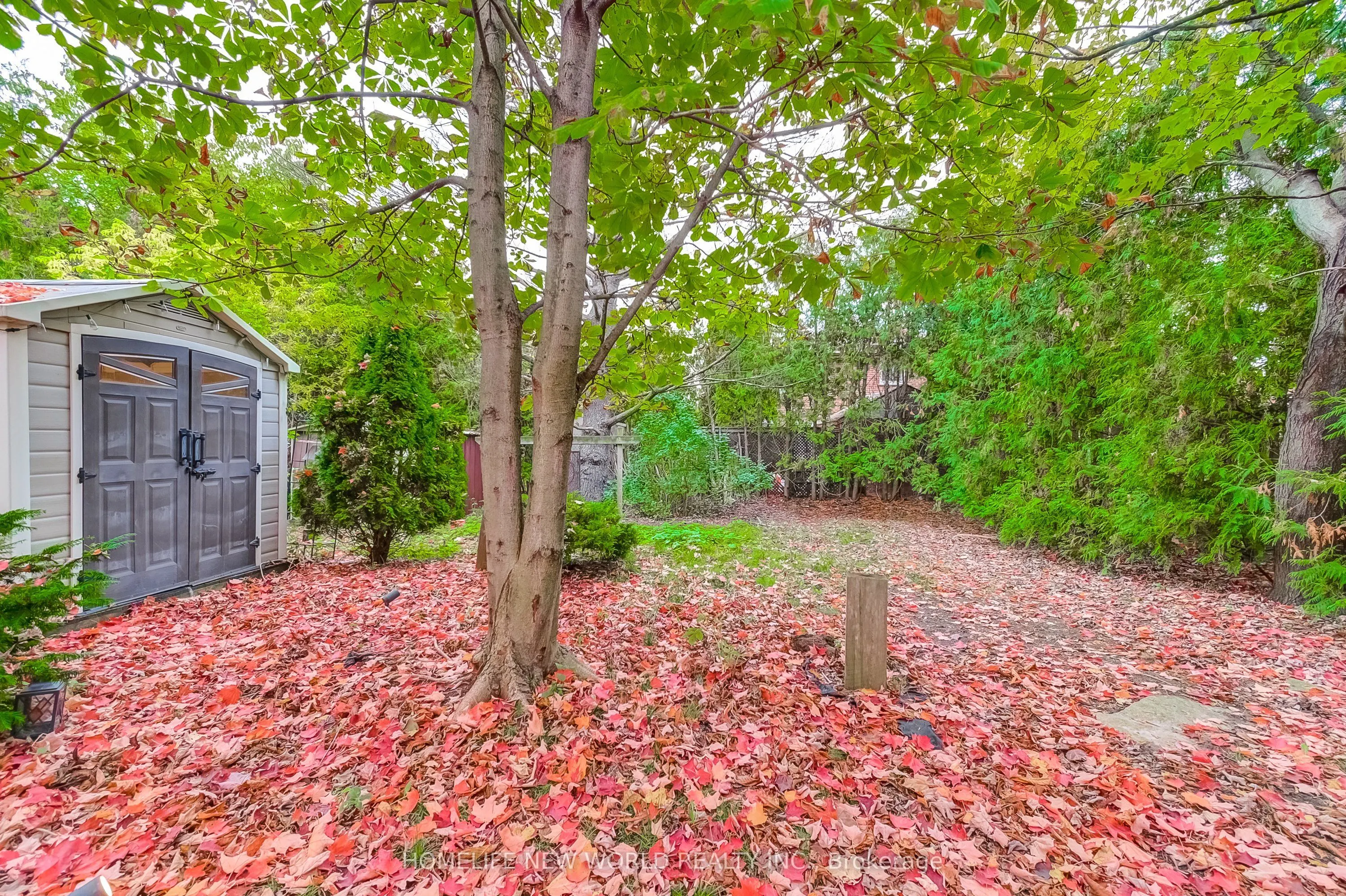 59 Bobmar Road