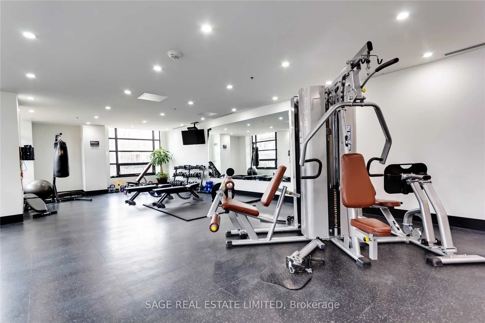 88 Colgate Avenue #533