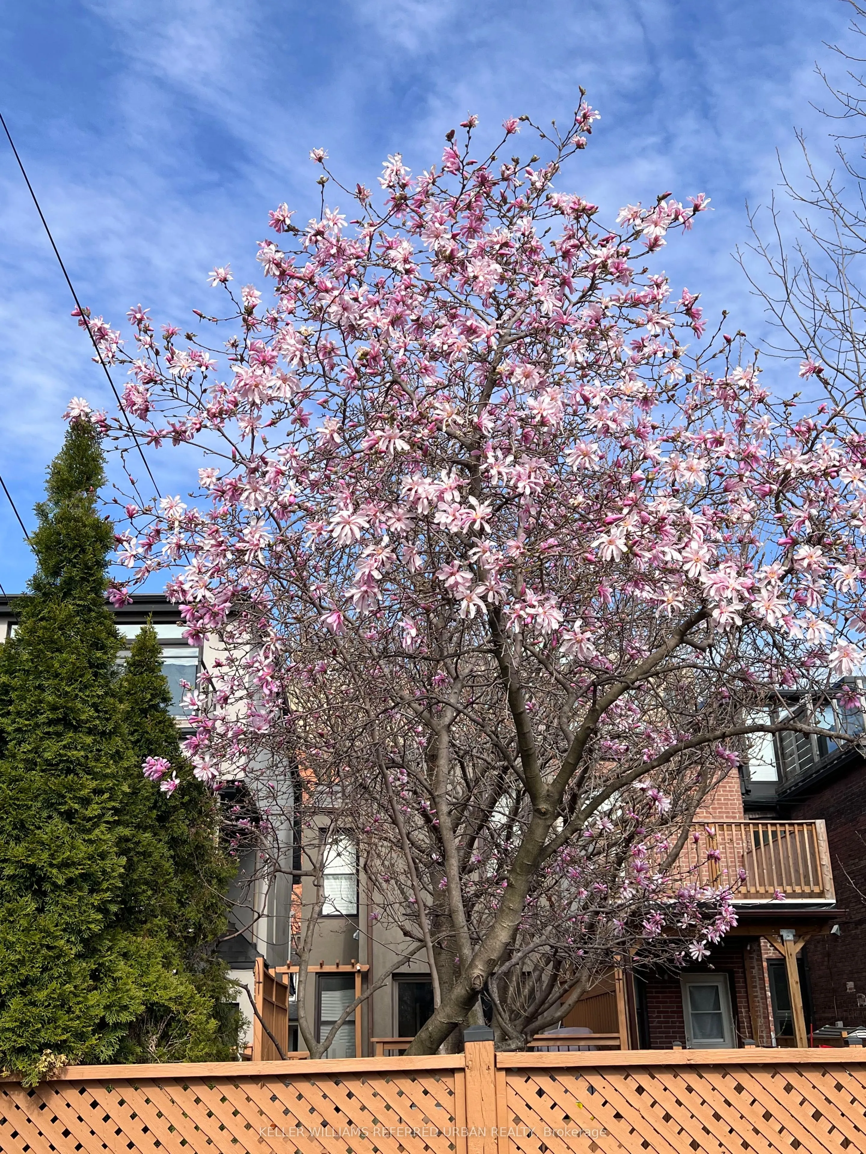 102 Gough Avenue