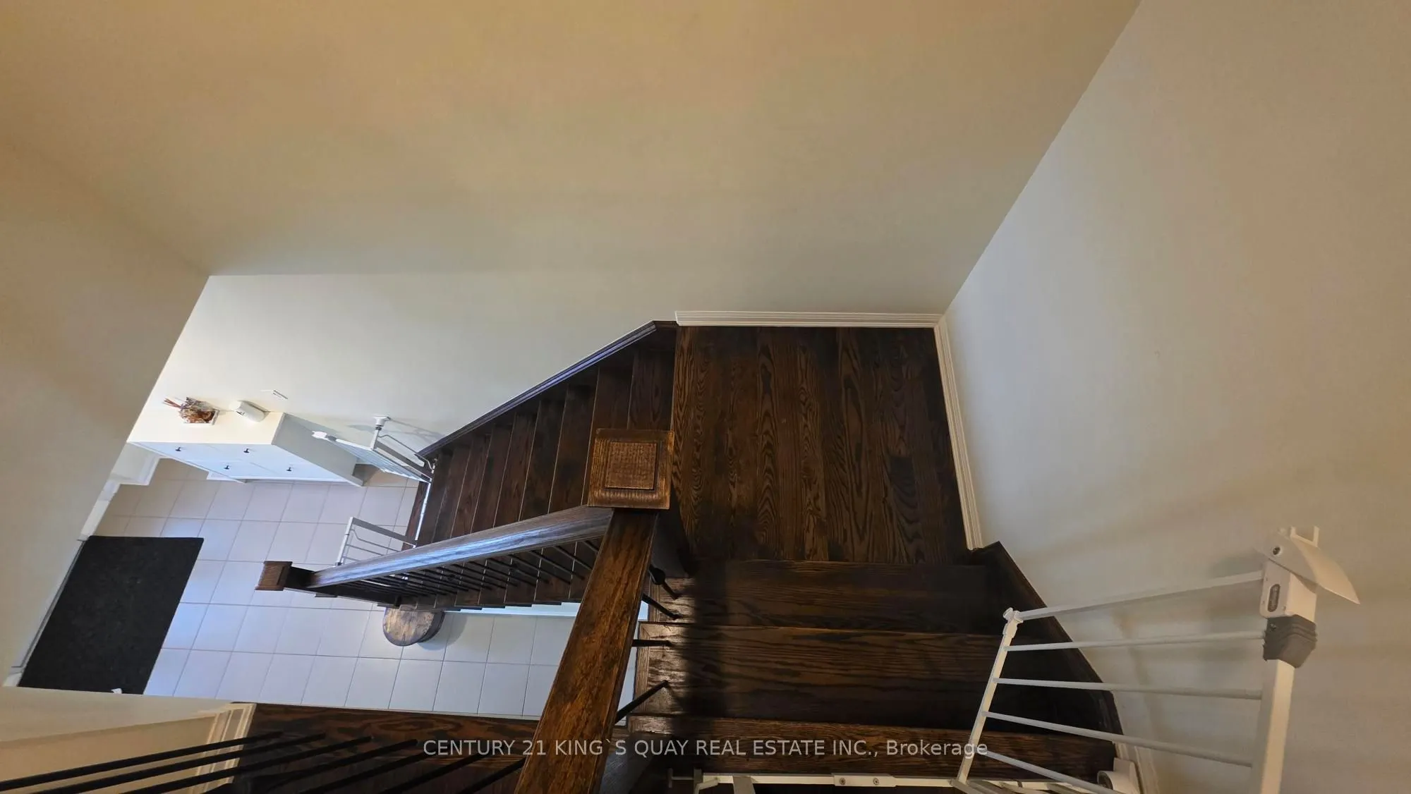 7 Stotts Terrace