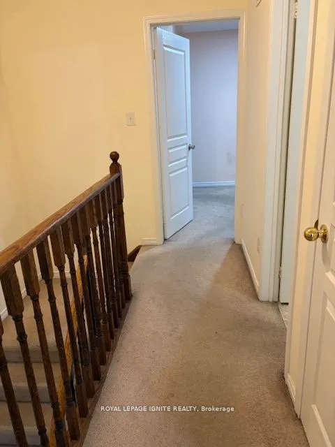 11 Curran Hall Crescent