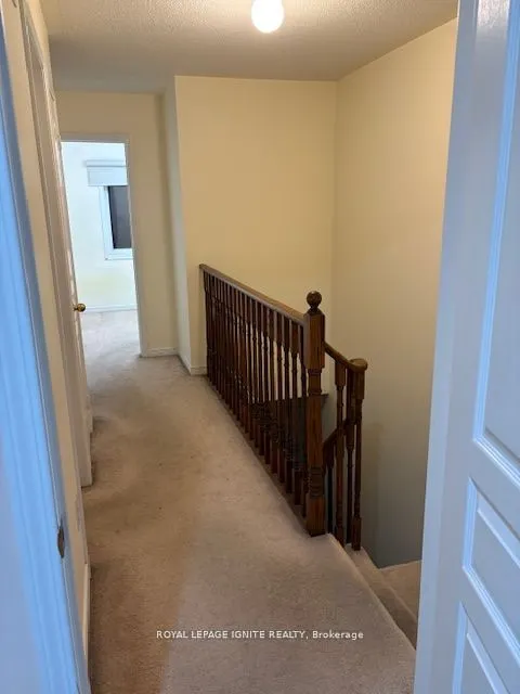 11 Curran Hall Crescent