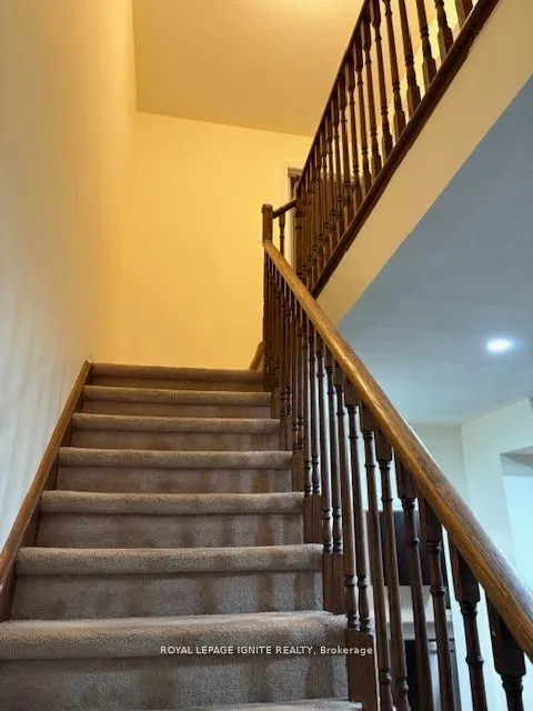 11 Curran Hall Crescent