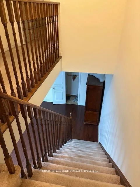 11 Curran Hall Crescent
