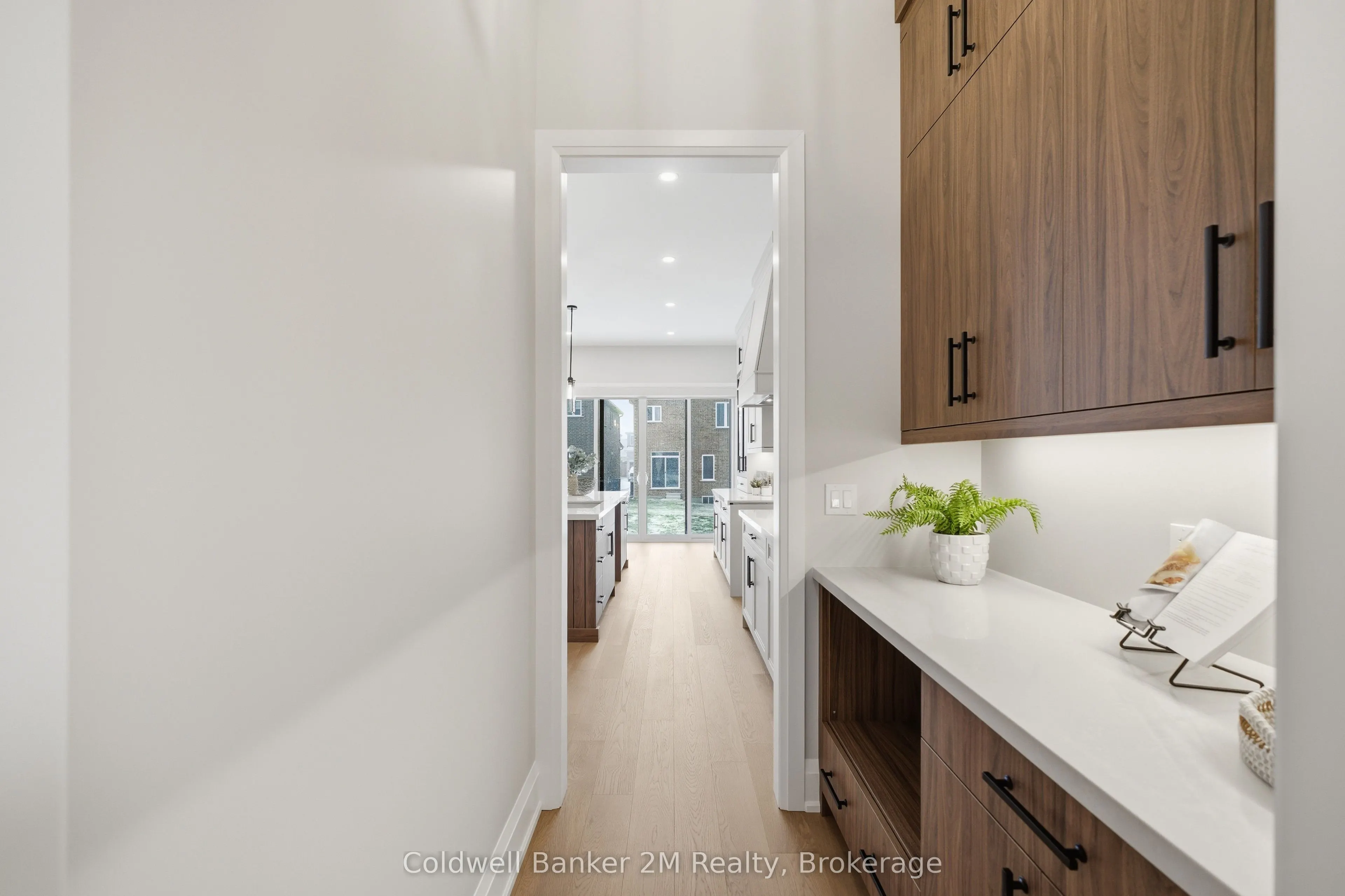 31 Lonetto Street