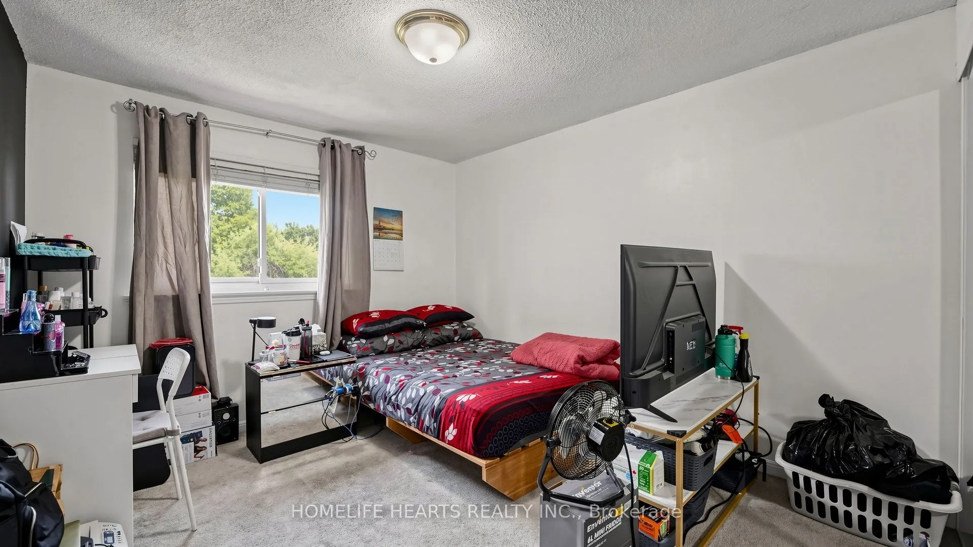 242 Braymore Boulevard