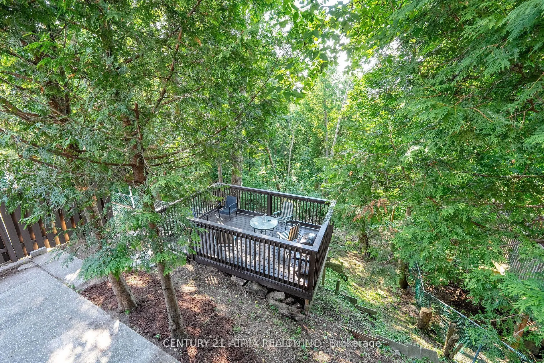 126 Celeste Drive #Main