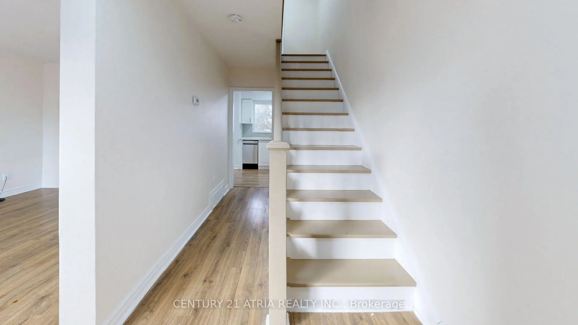 126 Celeste Drive #Main