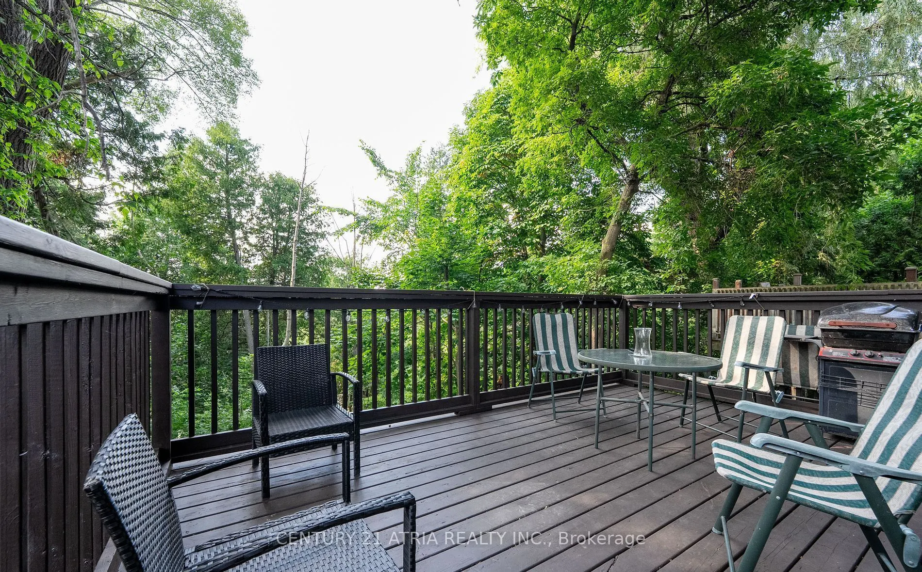 126 Celeste Drive #Main