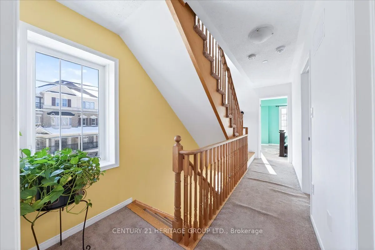 32 Foal Path S #258
