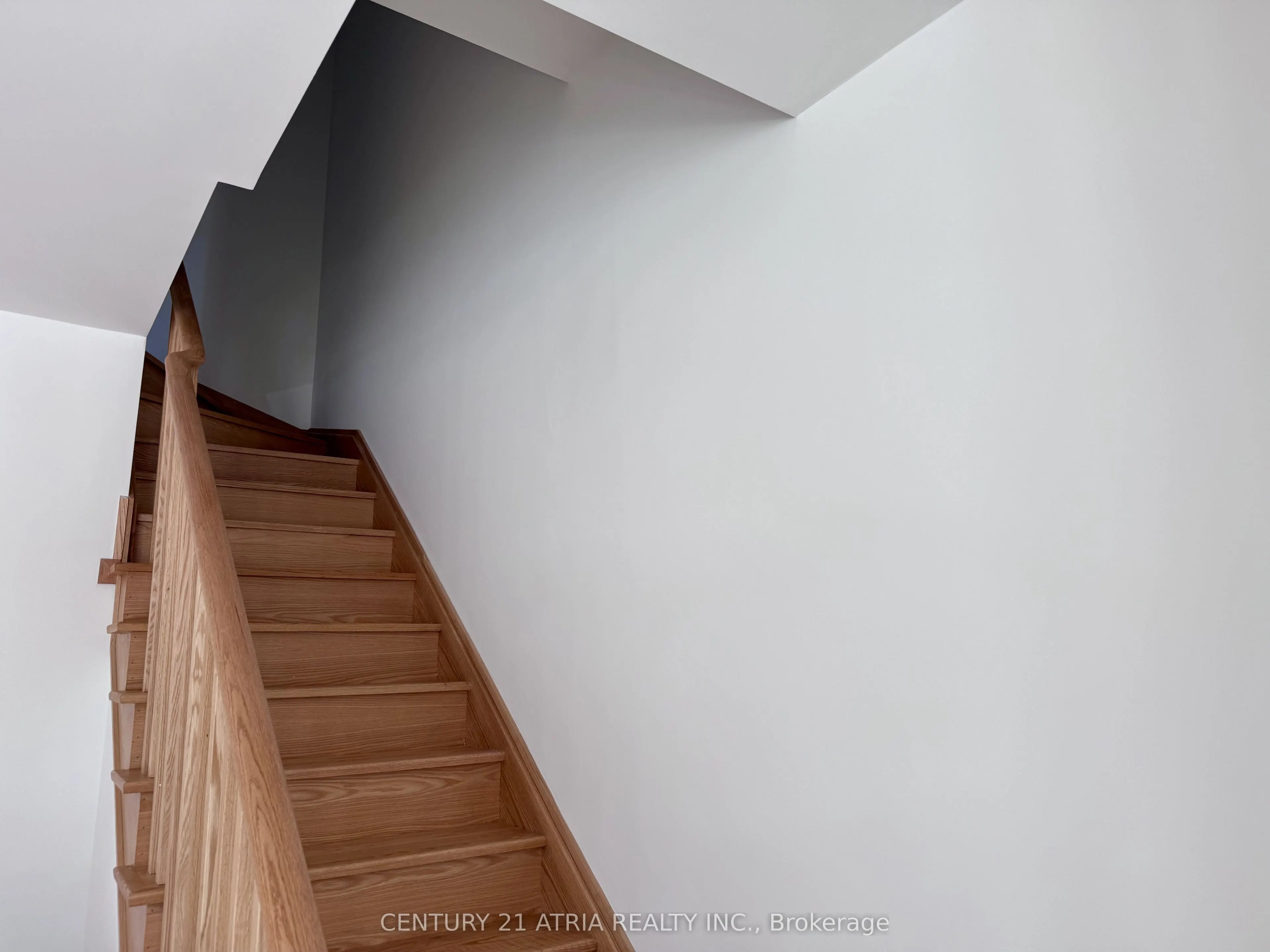 28 Alpine Symphony Path #28