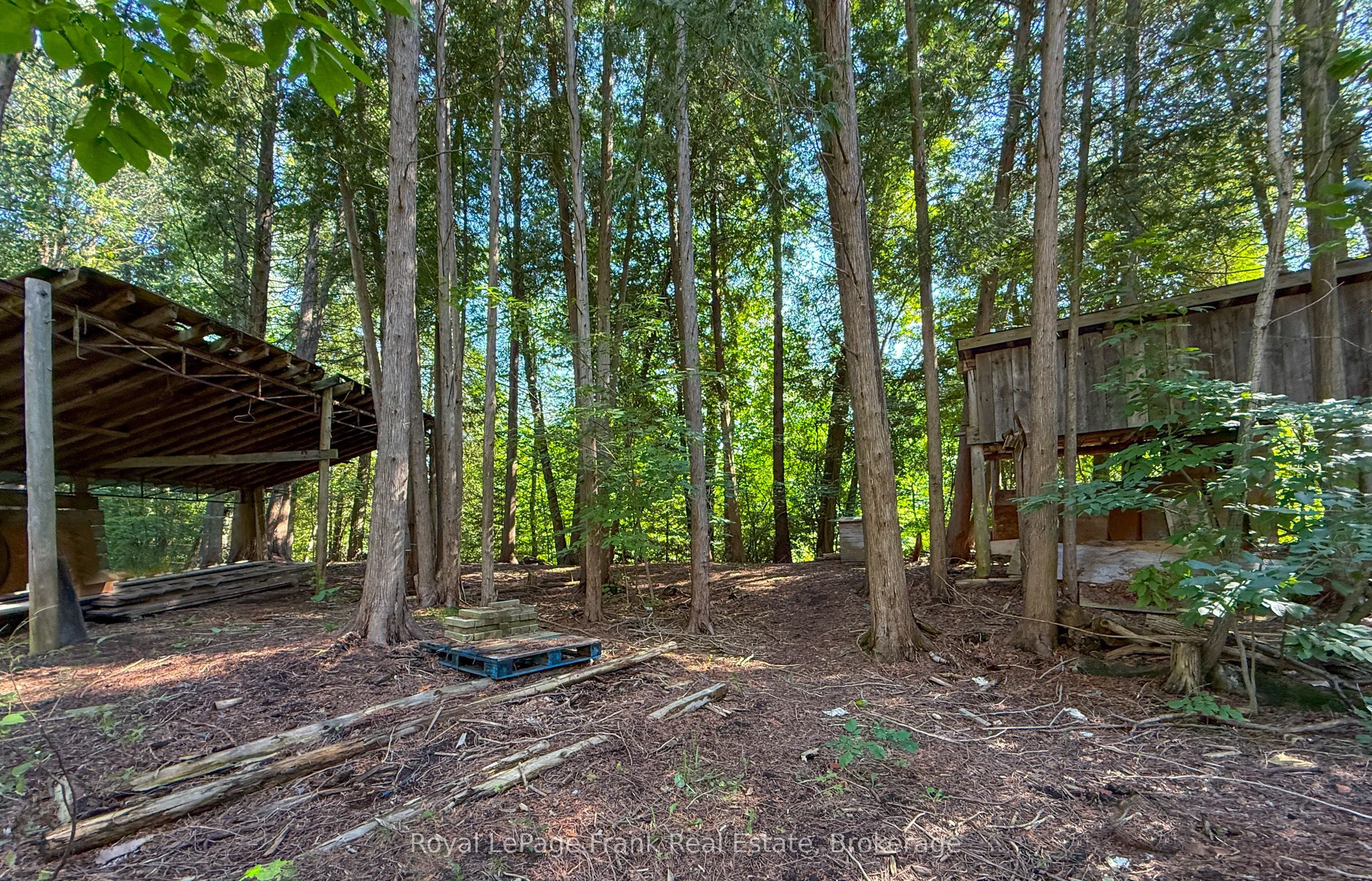14125 Regional Rd 57