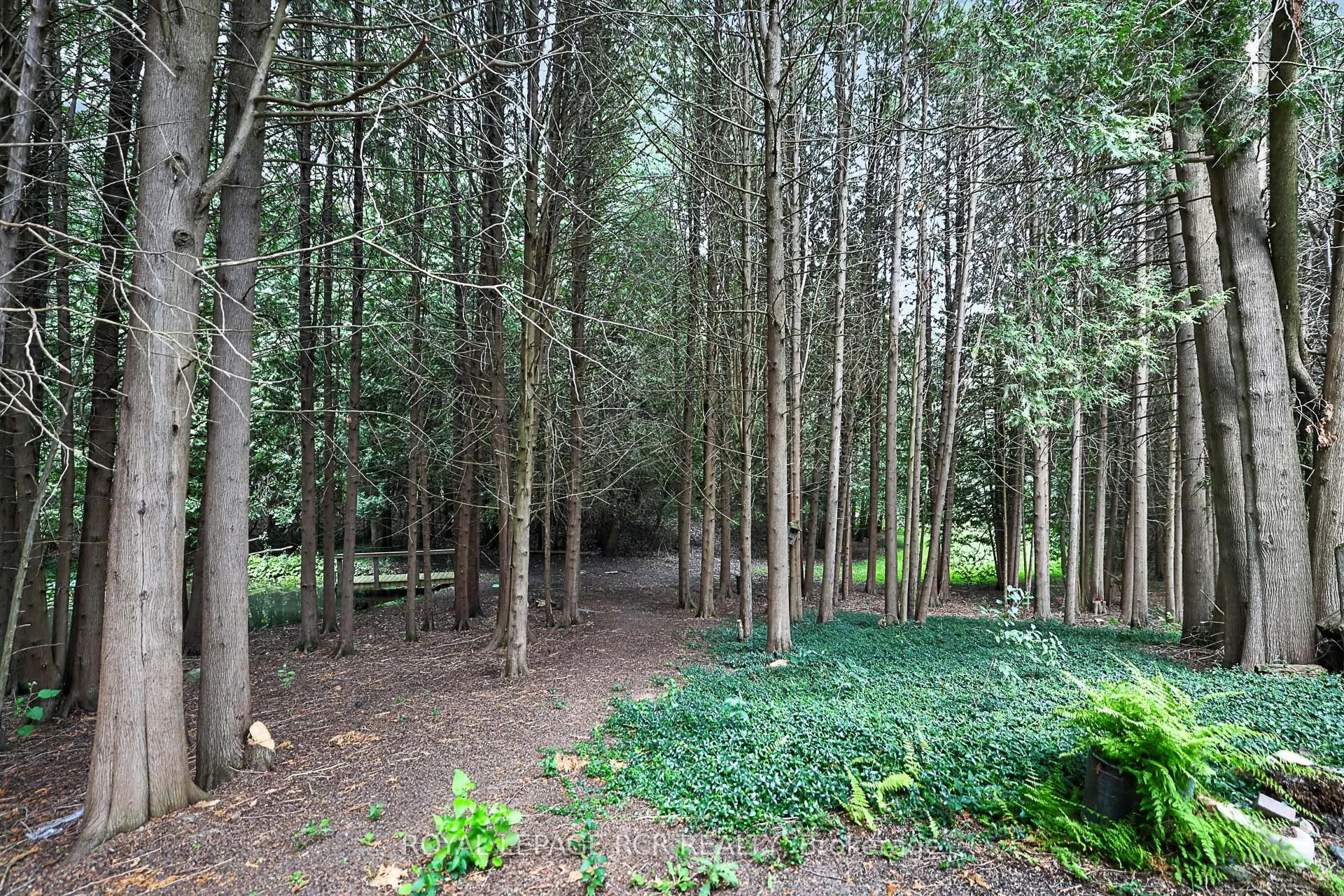 502 Townline Road