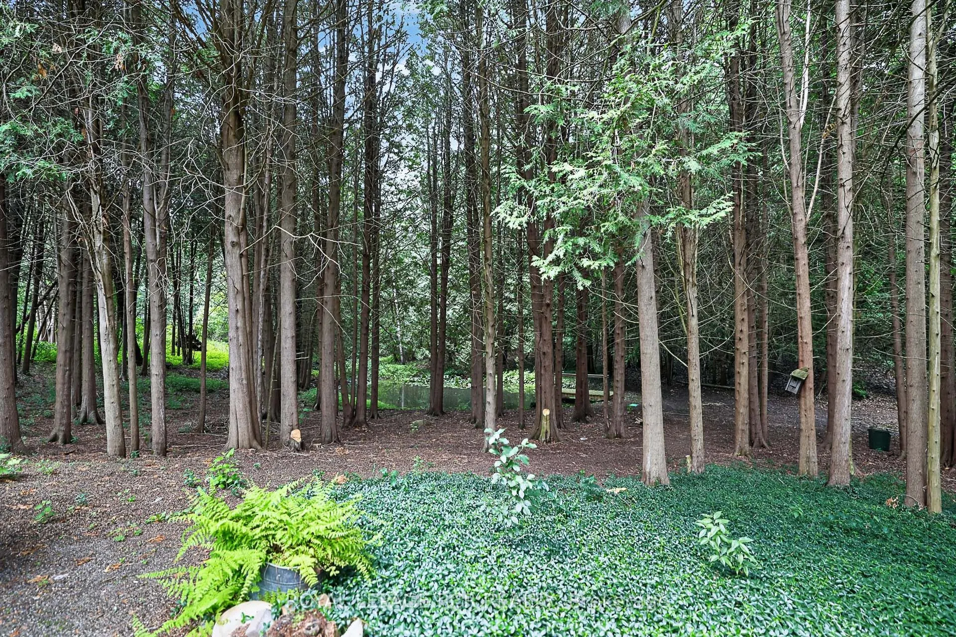 502 Townline Road