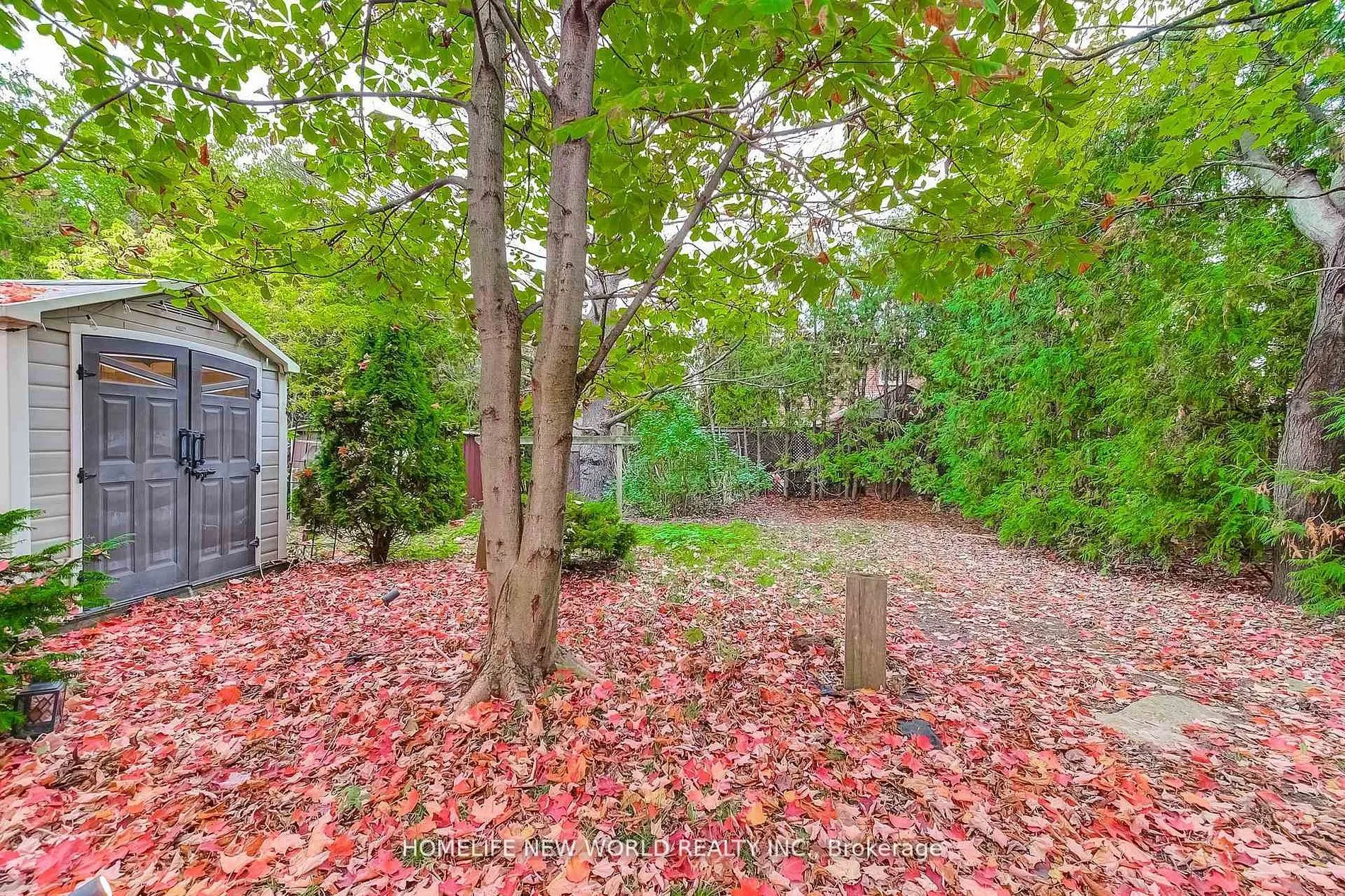 59 Bobmar Road