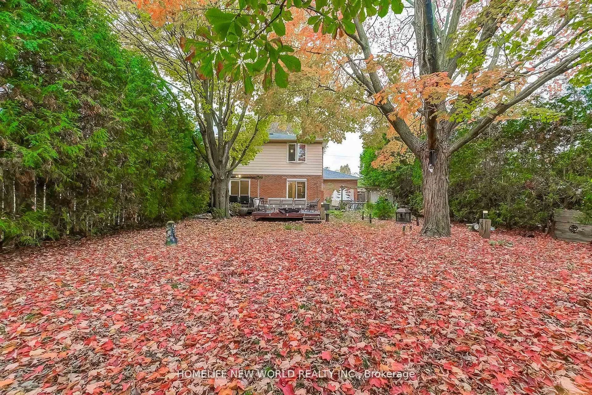 59 Bobmar Road