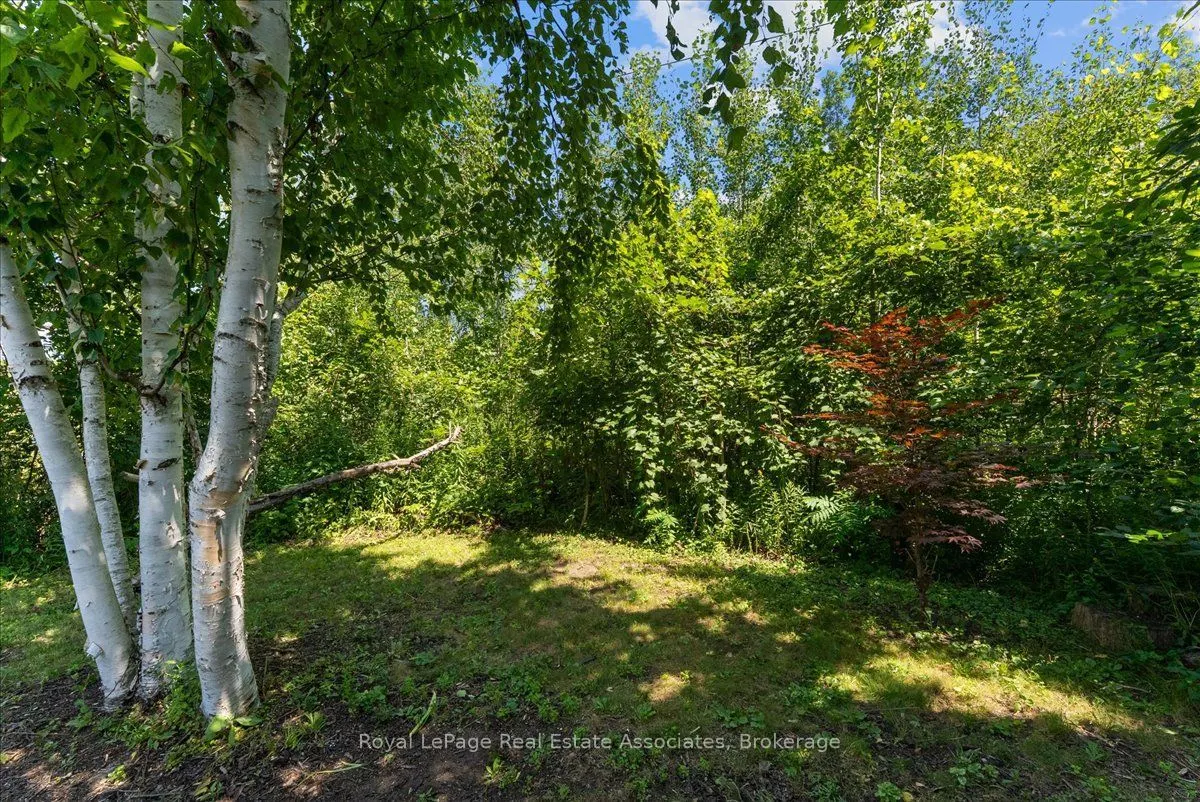 1464 Trowbridge Drive