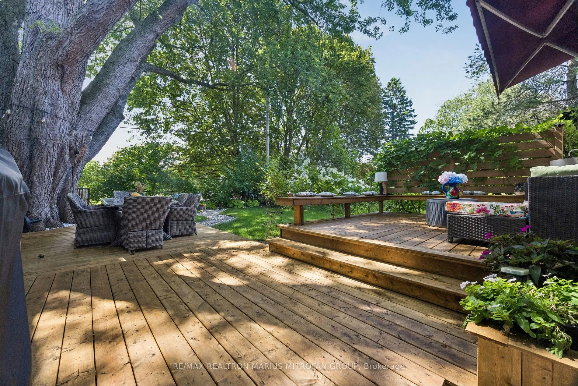 21 Toynbee Trail