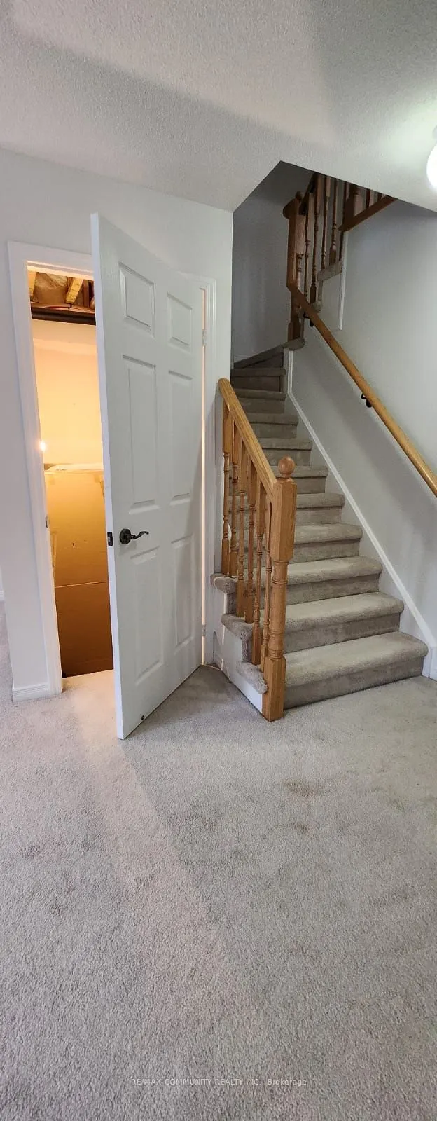 113 Ainley Road