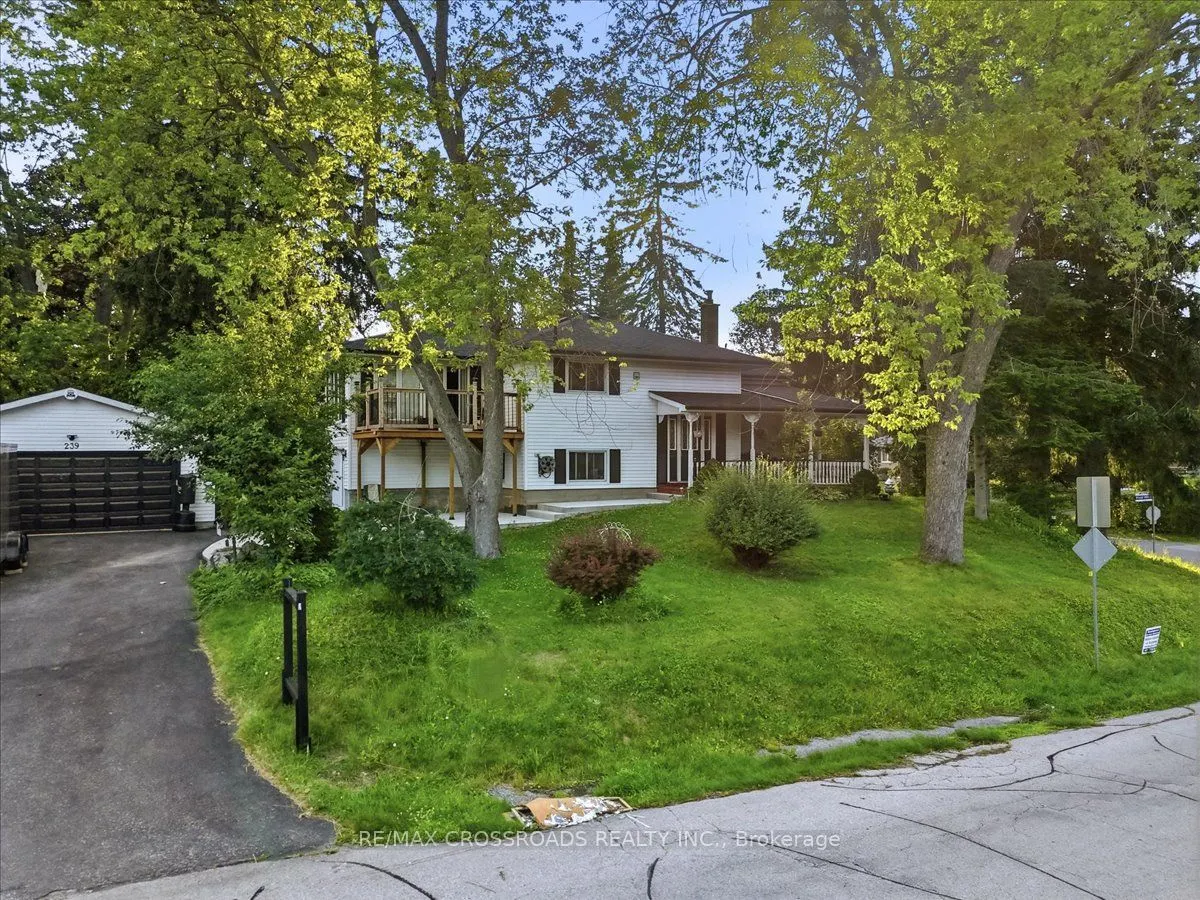 239 Island Road