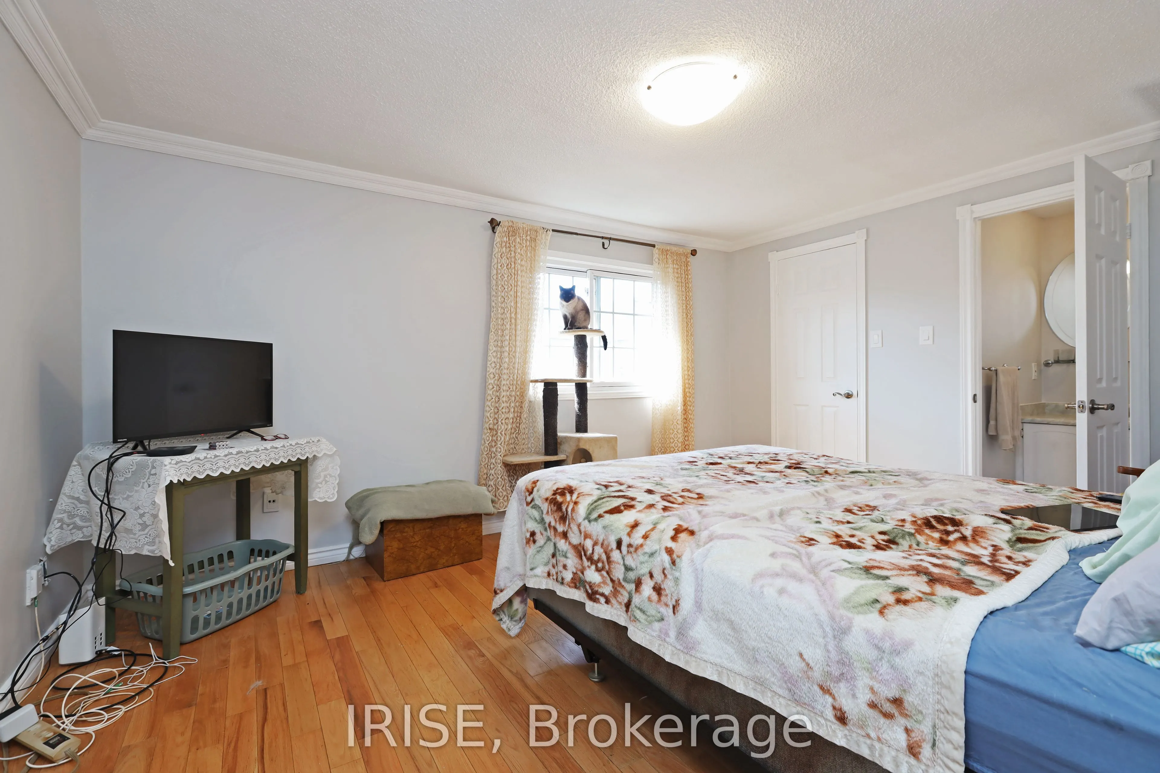 115 Winter Gardens Trail