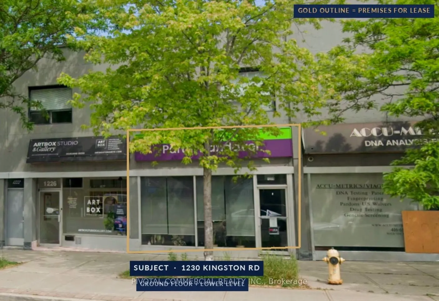 1230 Kingston Road #100