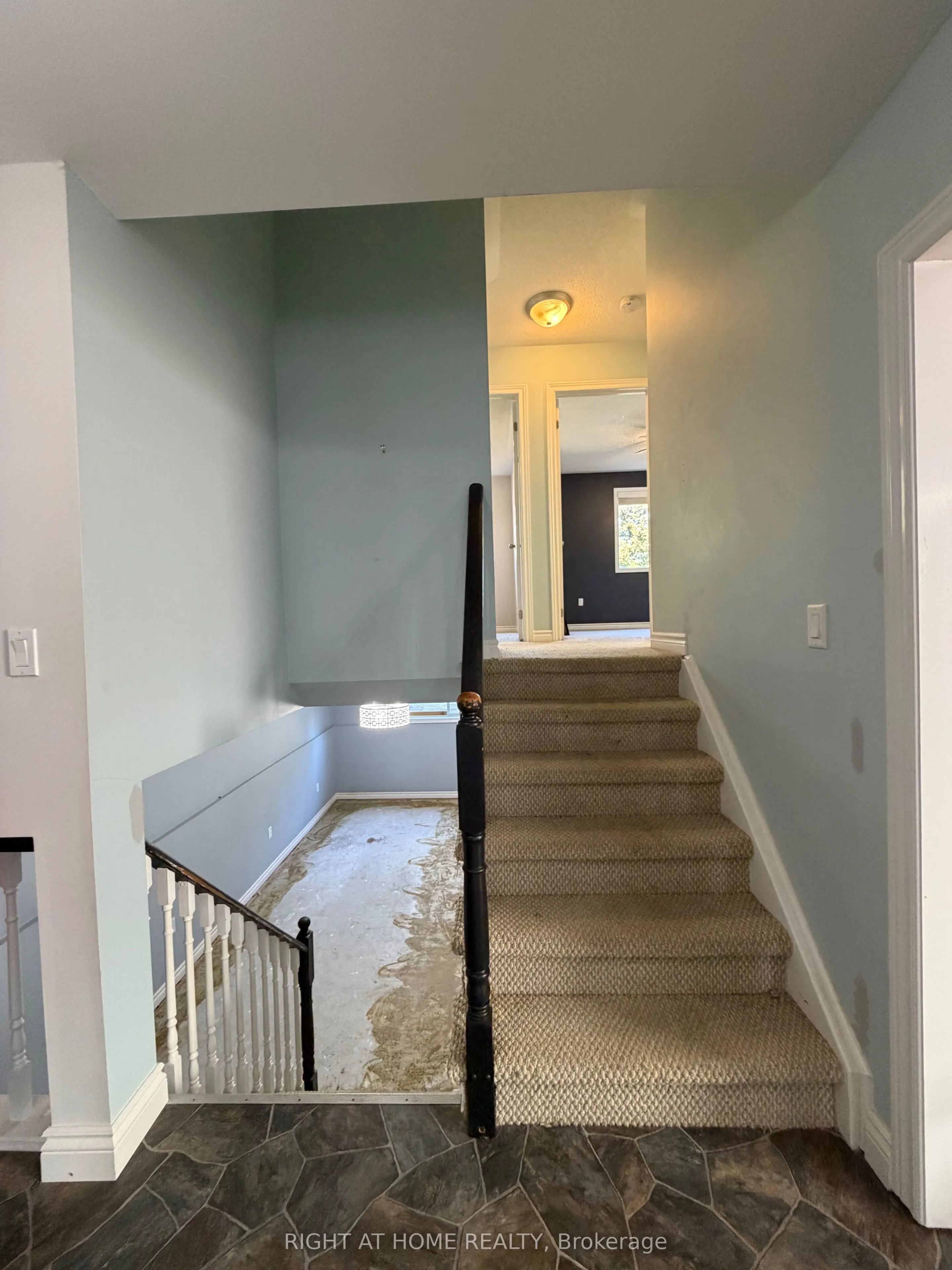101 Kilgannon Avenue