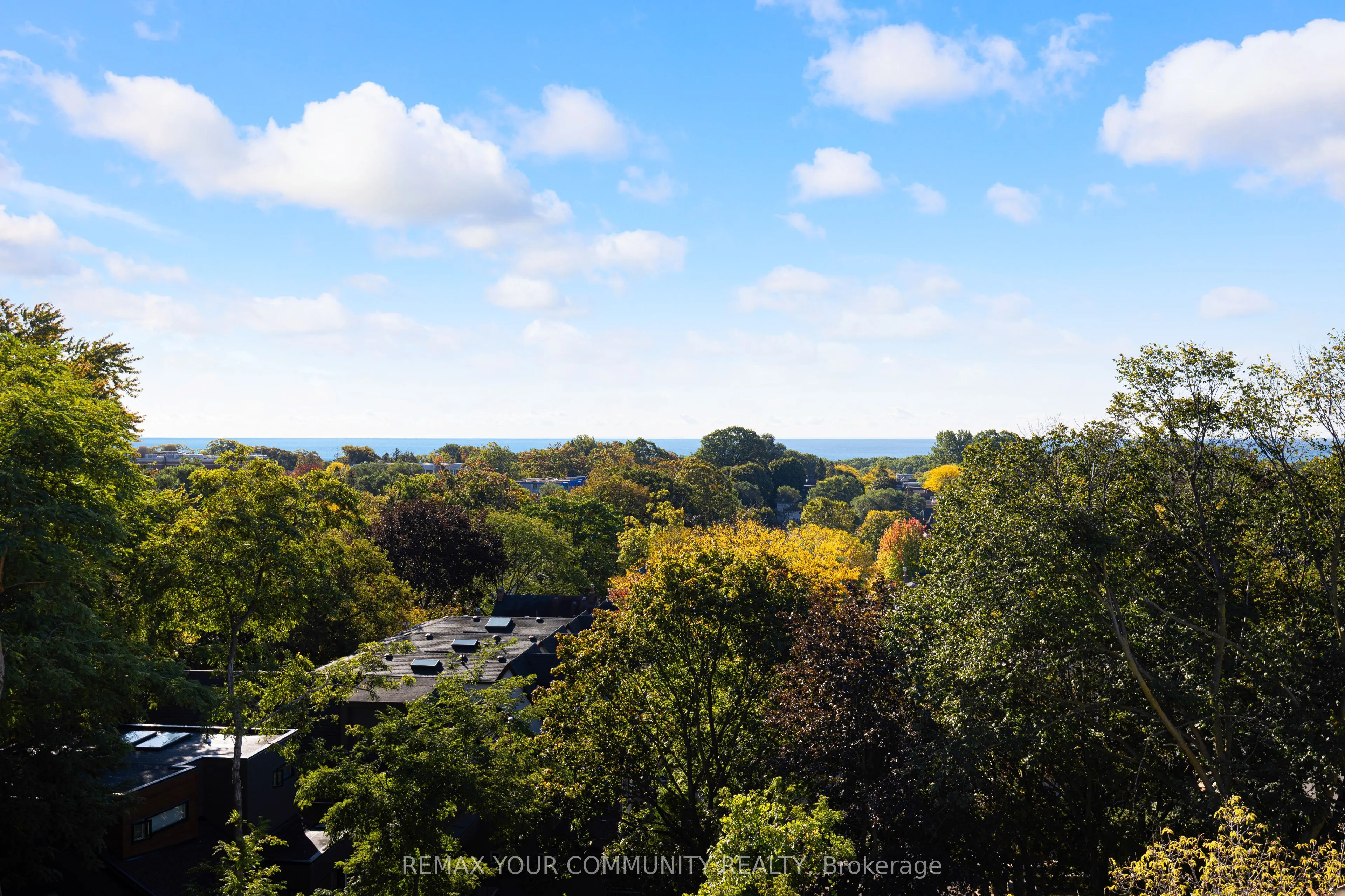 517 Kingston Road #4