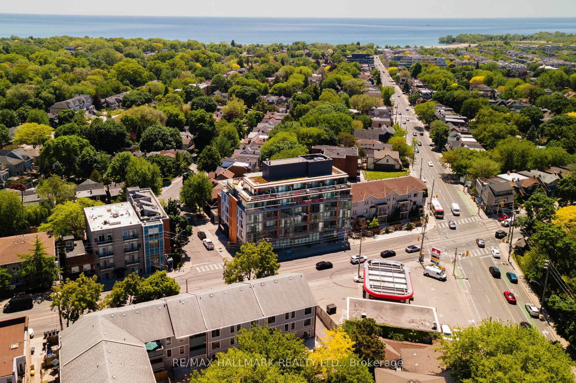 60 Haslett Avenue #303