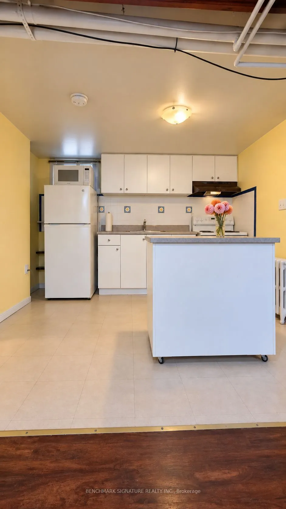 238 Torrens Avenue #Basement