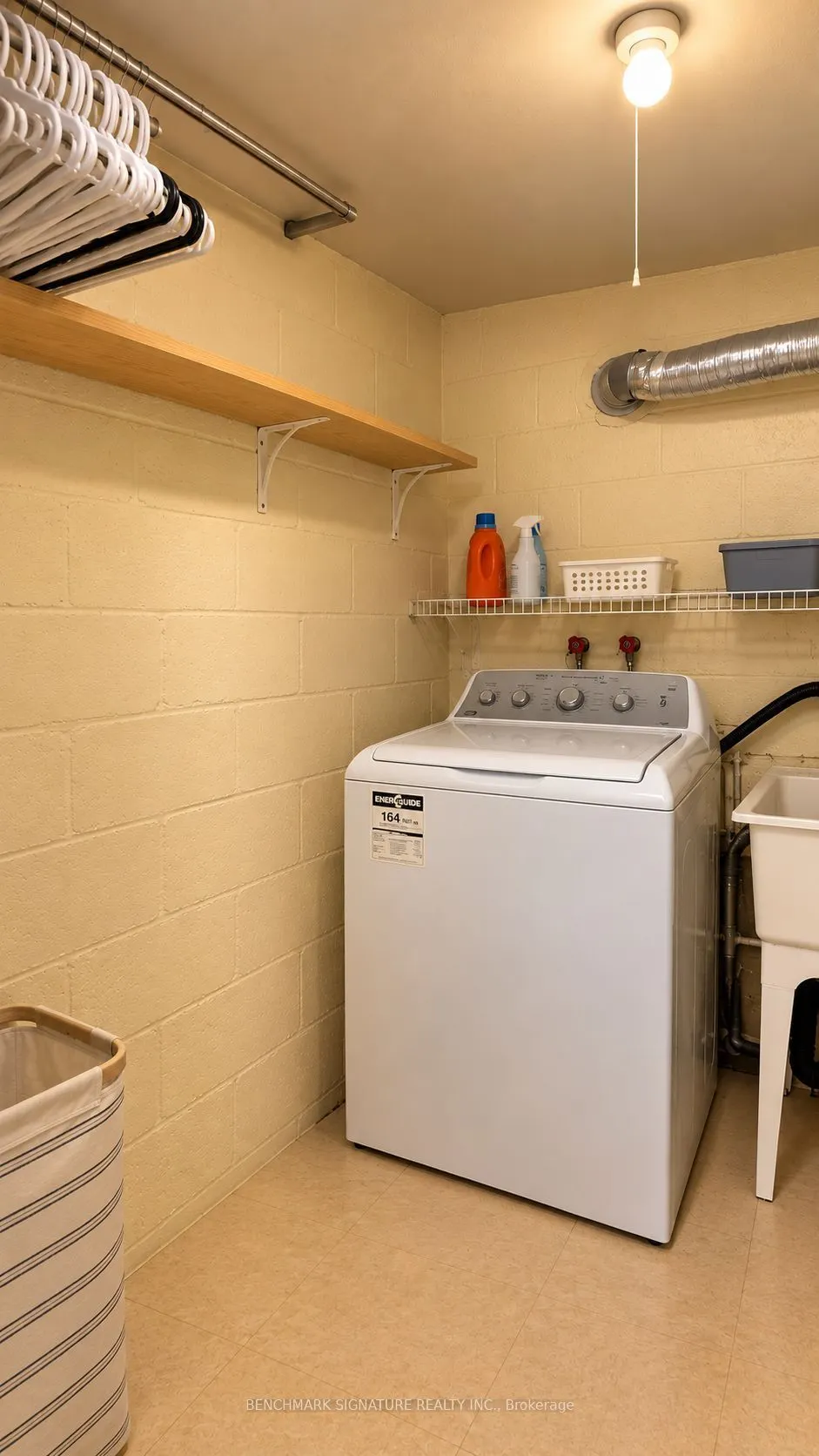 238 Torrens Avenue #Basement