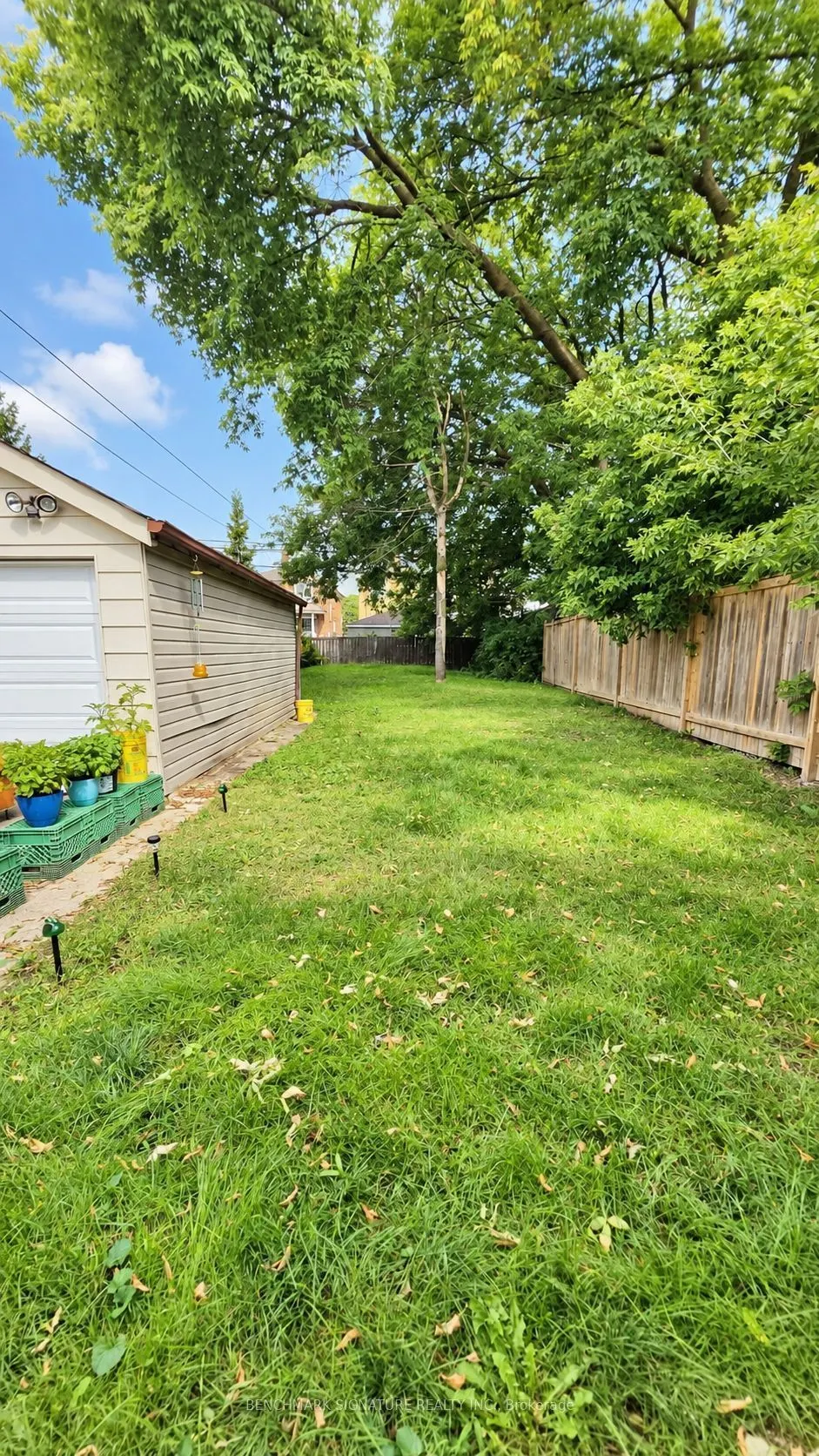 238 Torrens Avenue #Basement