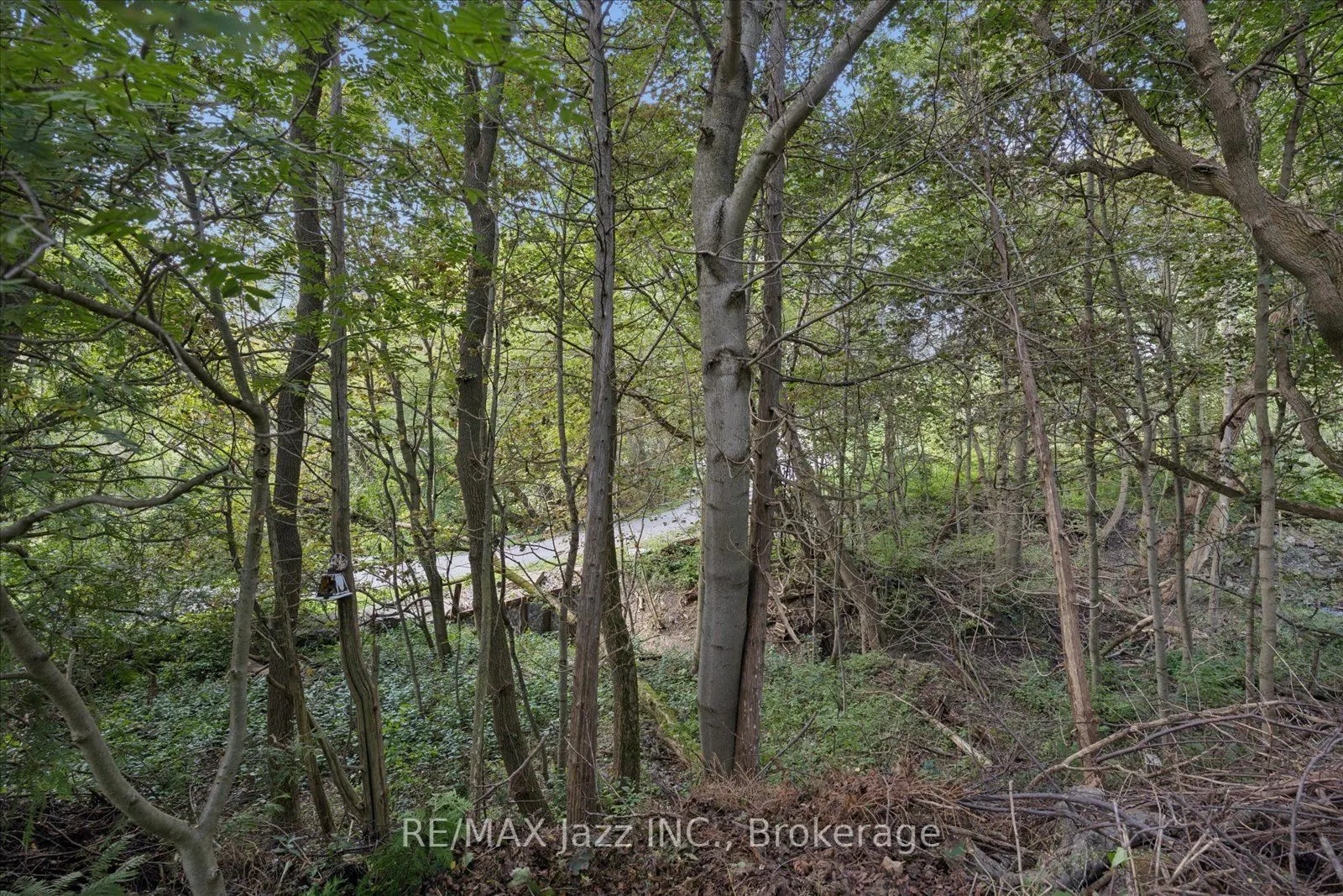364 King Street E