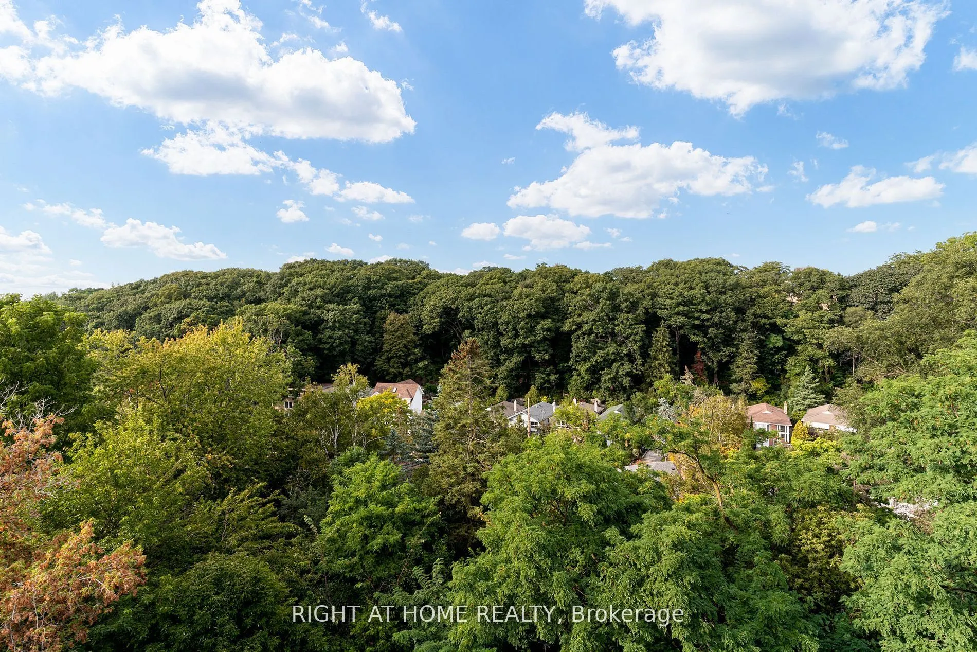 580 Kingston Road #PH1