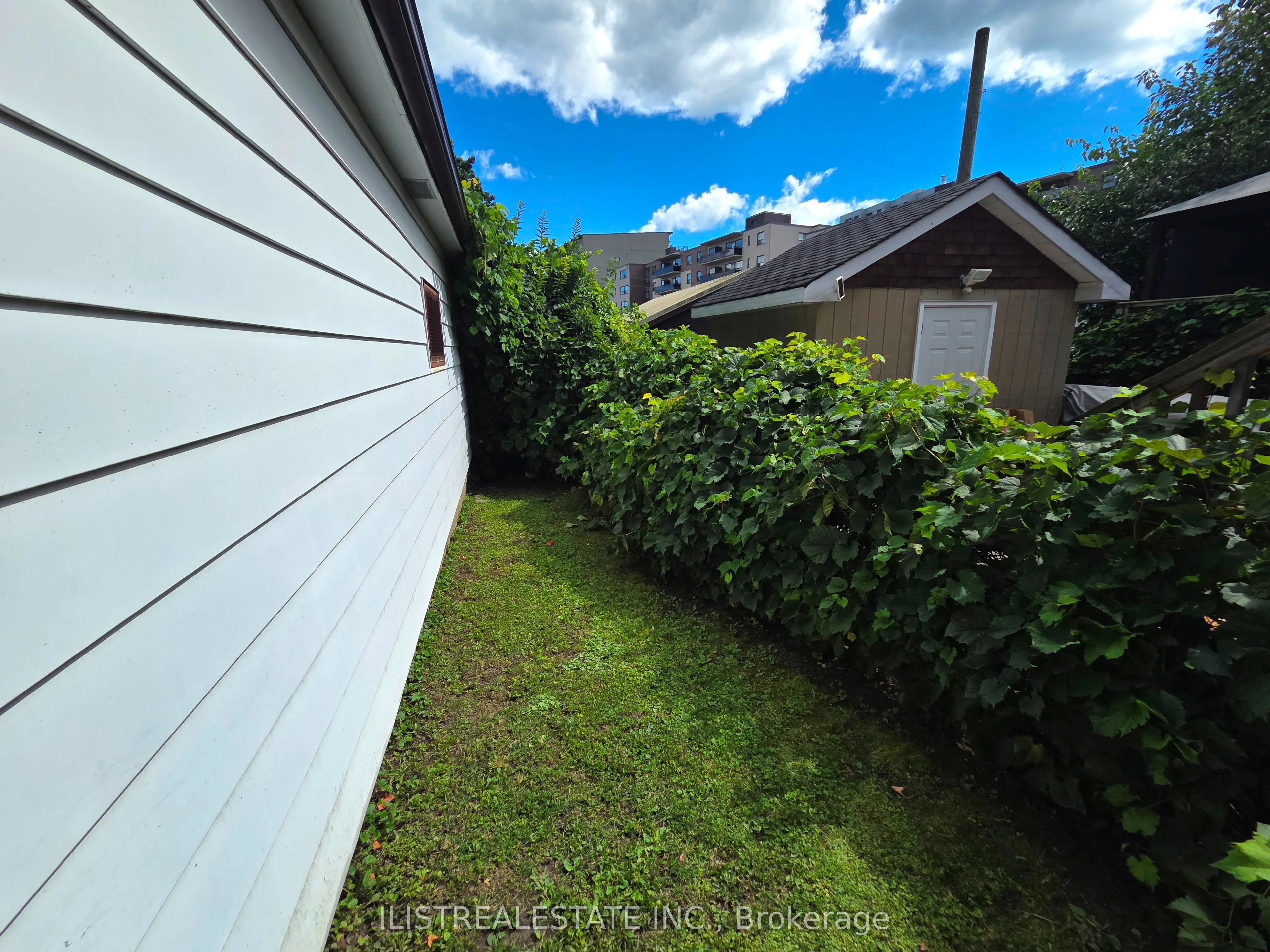 213 Blantyre Avenue
