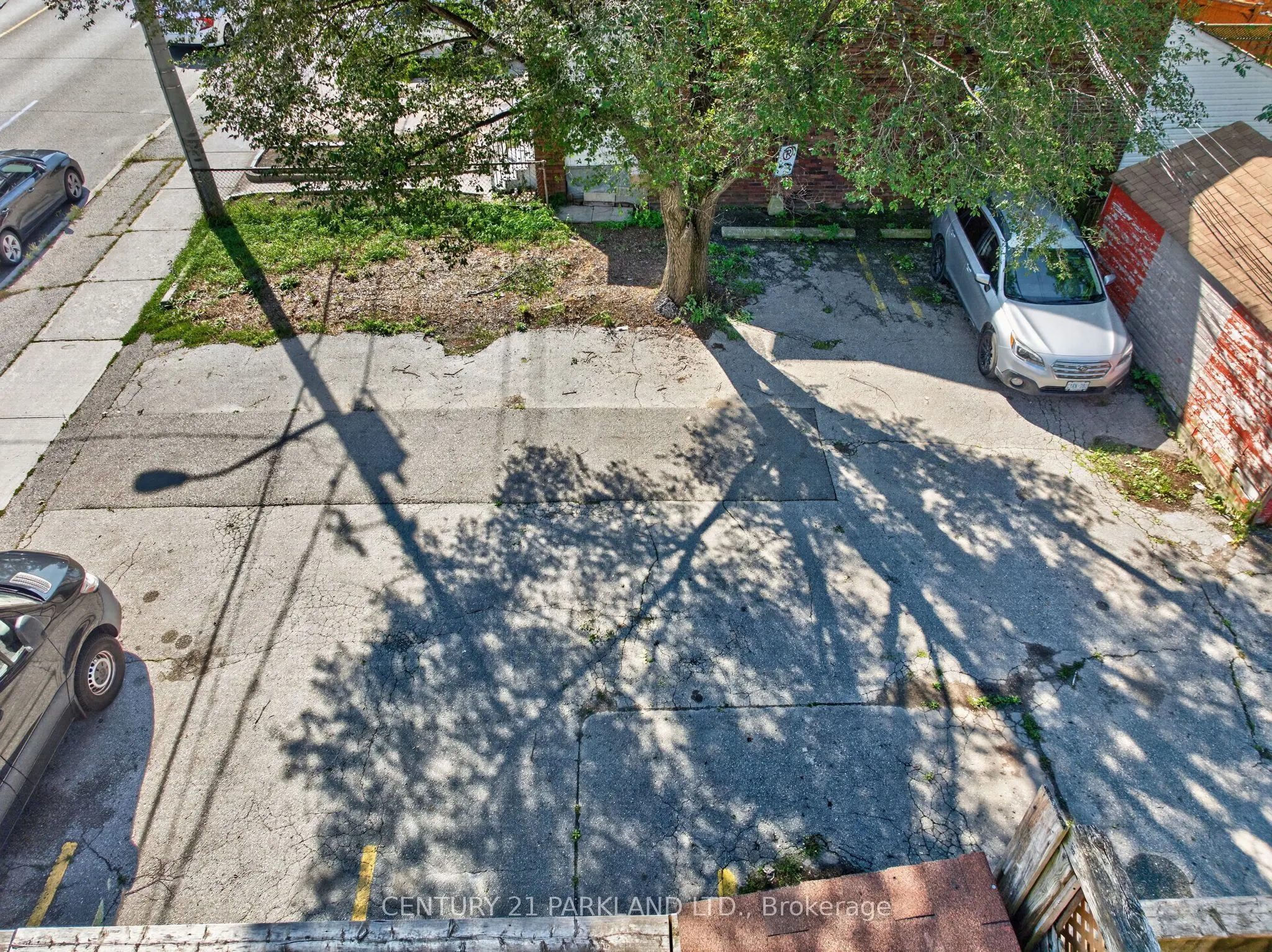 549 Sammon Avenue