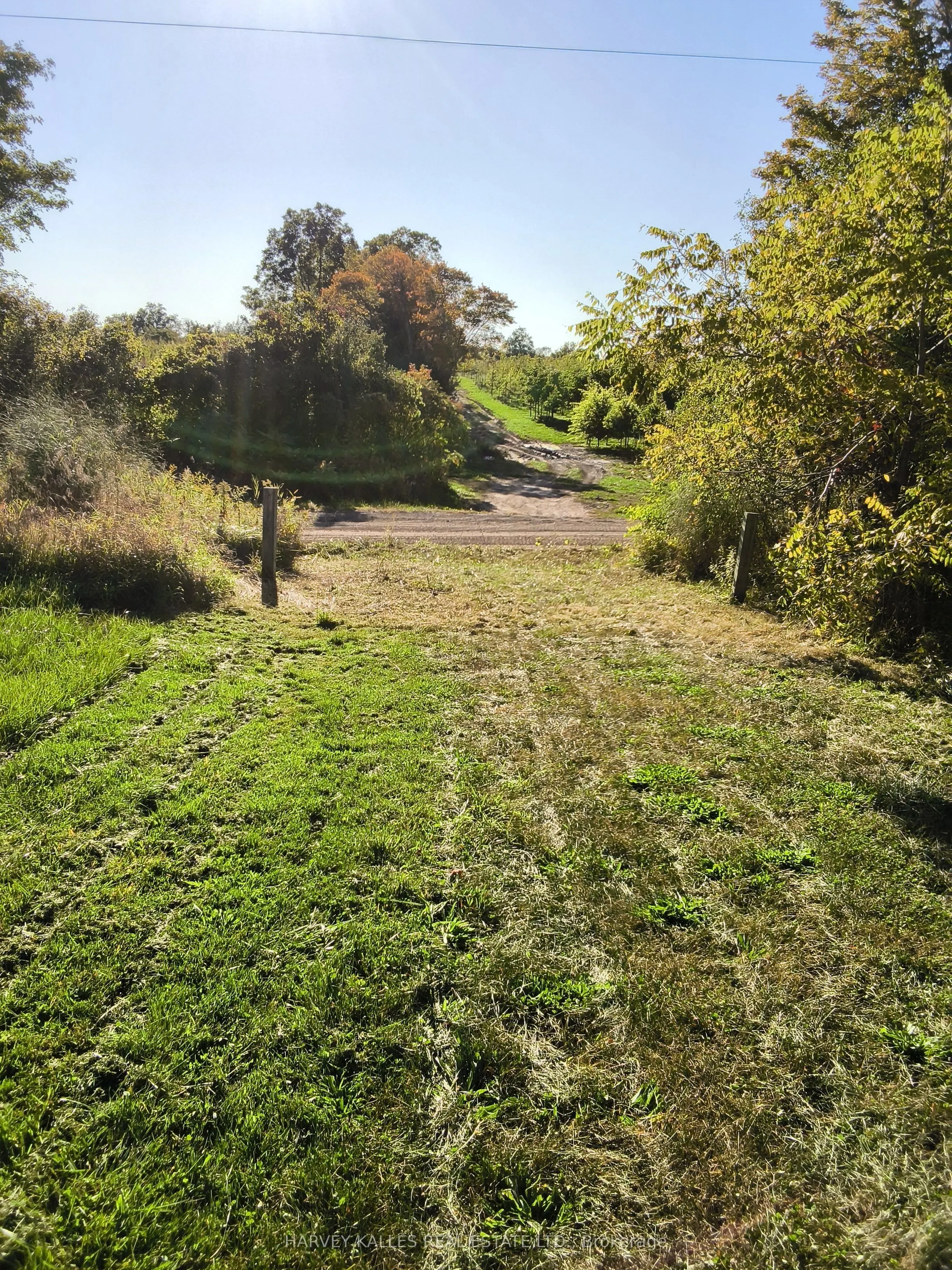 3905 7th Concession