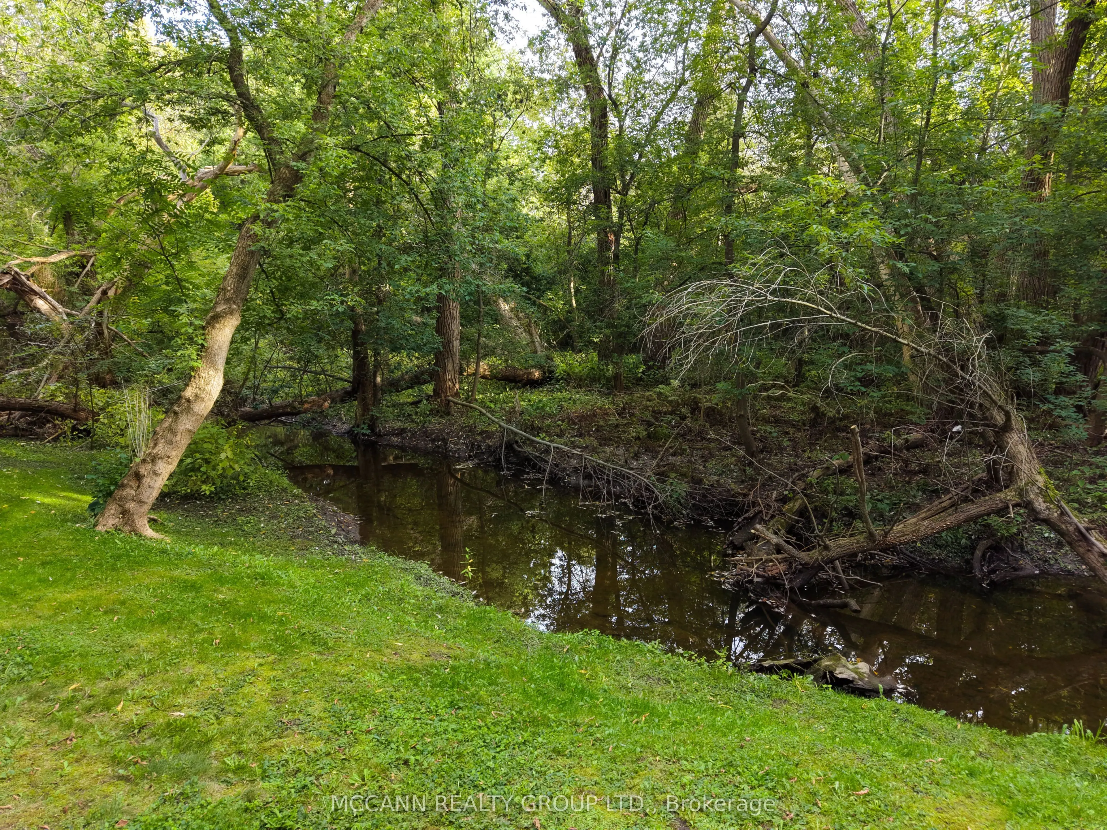 89 Blackcreek Trail