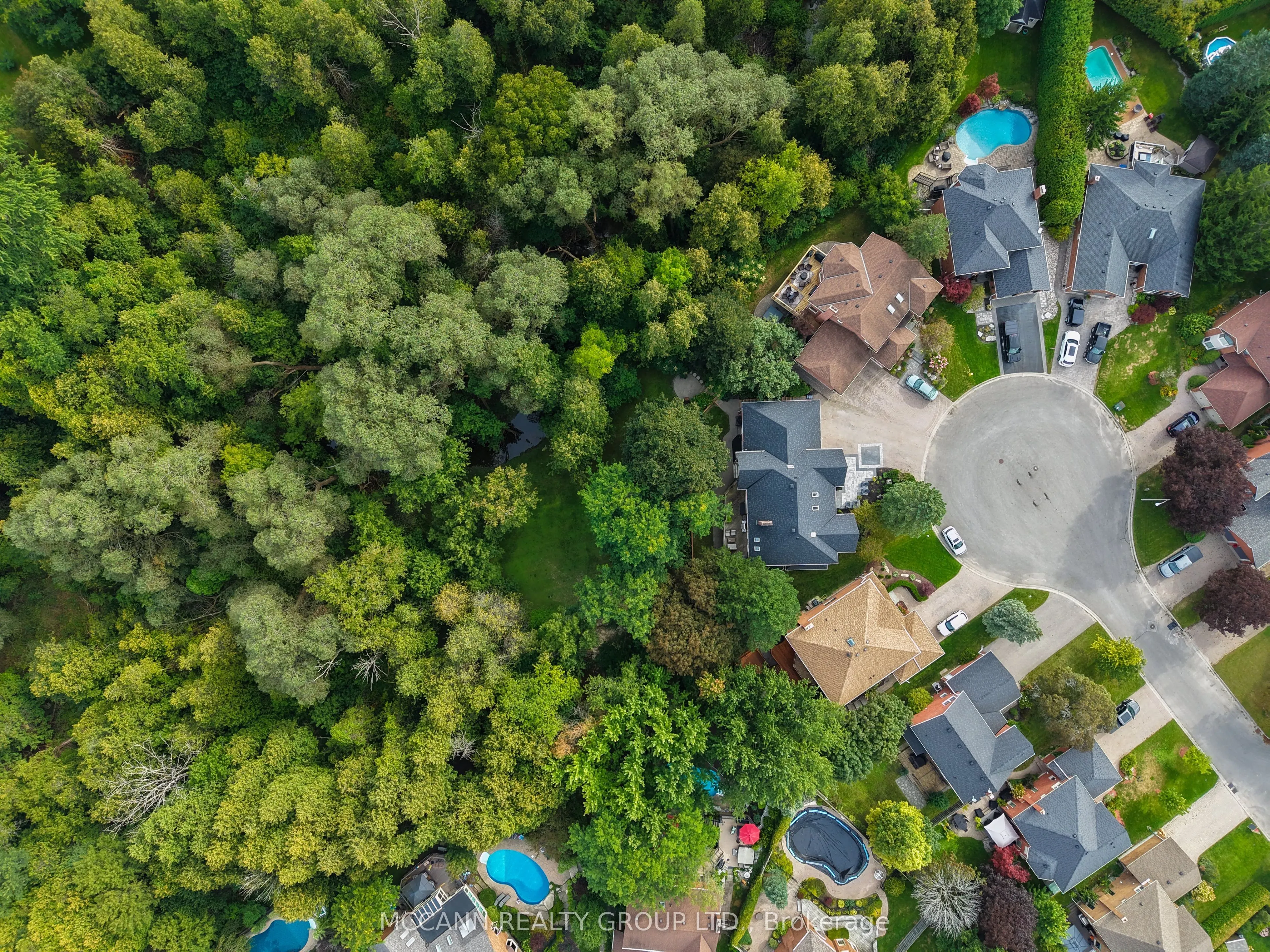 89 Blackcreek Trail