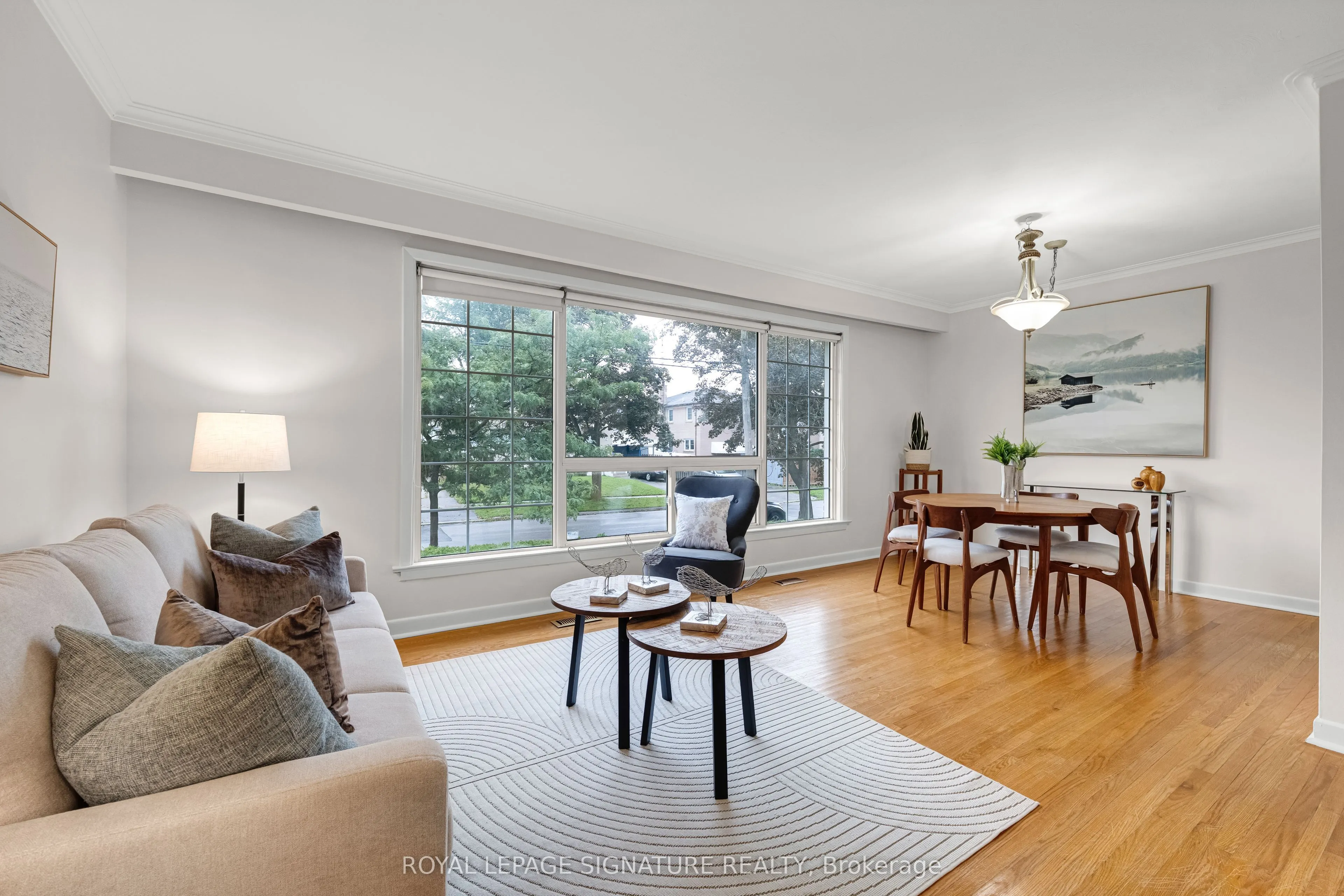 50 Celeste Drive