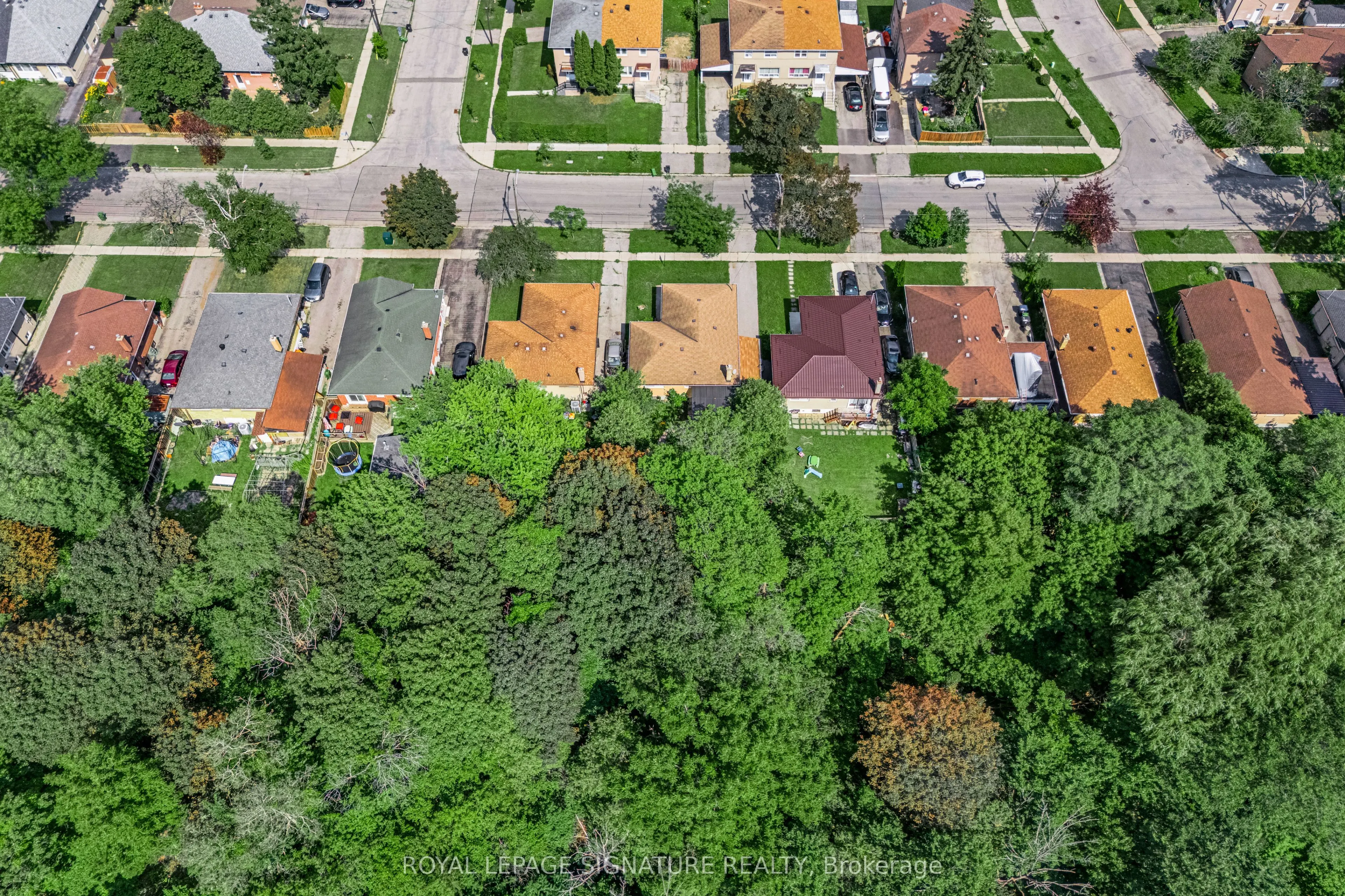 50 Celeste Drive