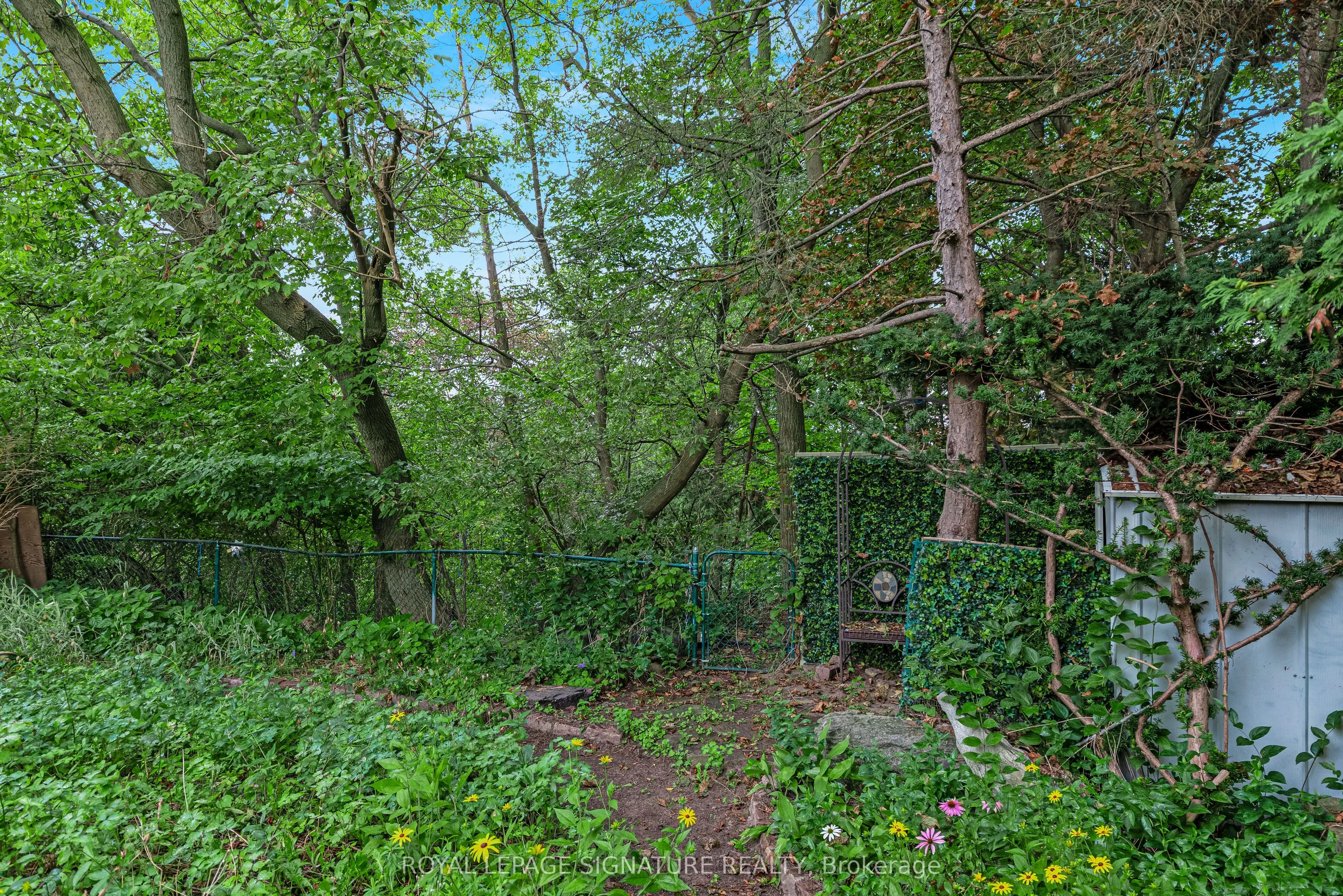 50 Celeste Drive