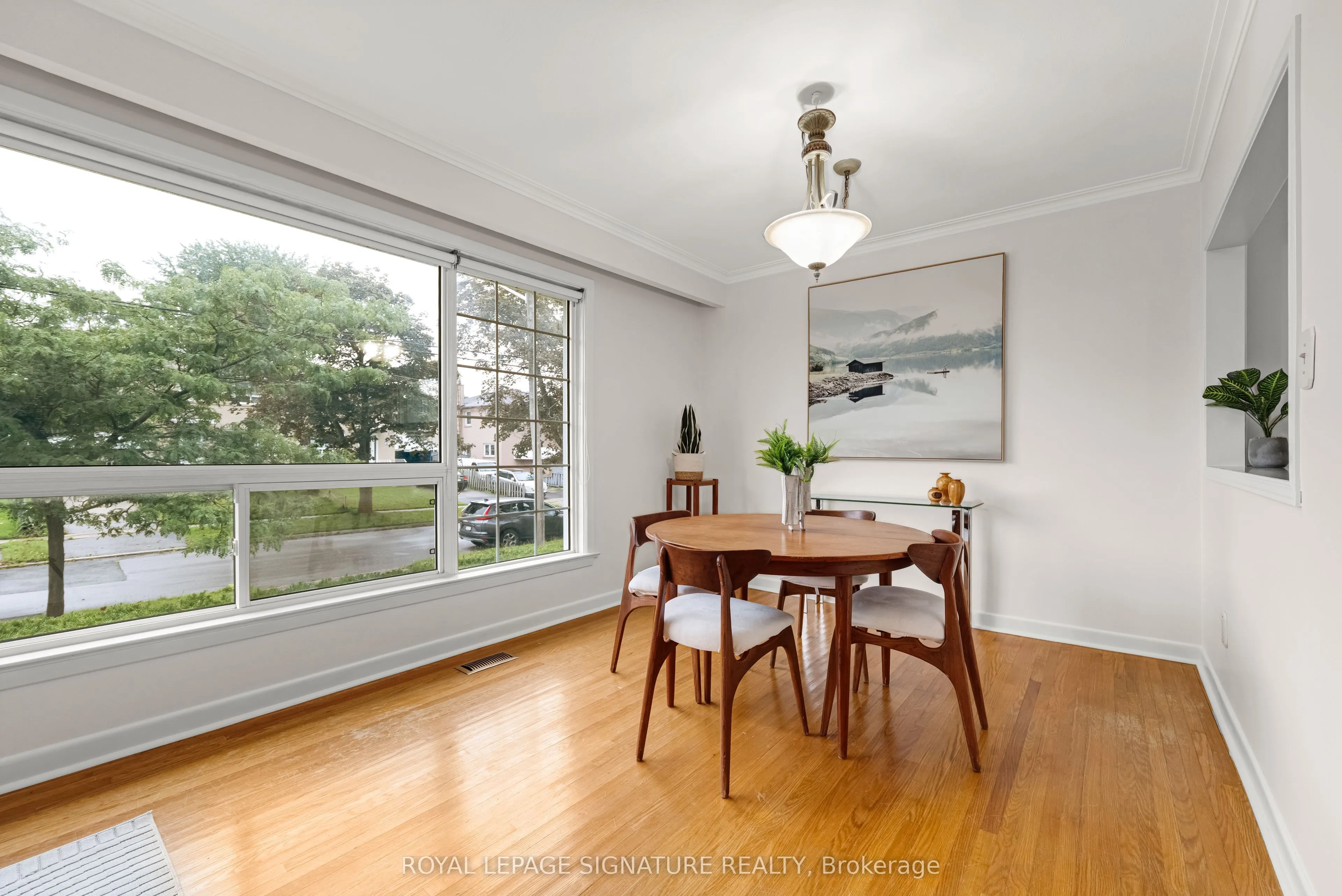 50 Celeste Drive