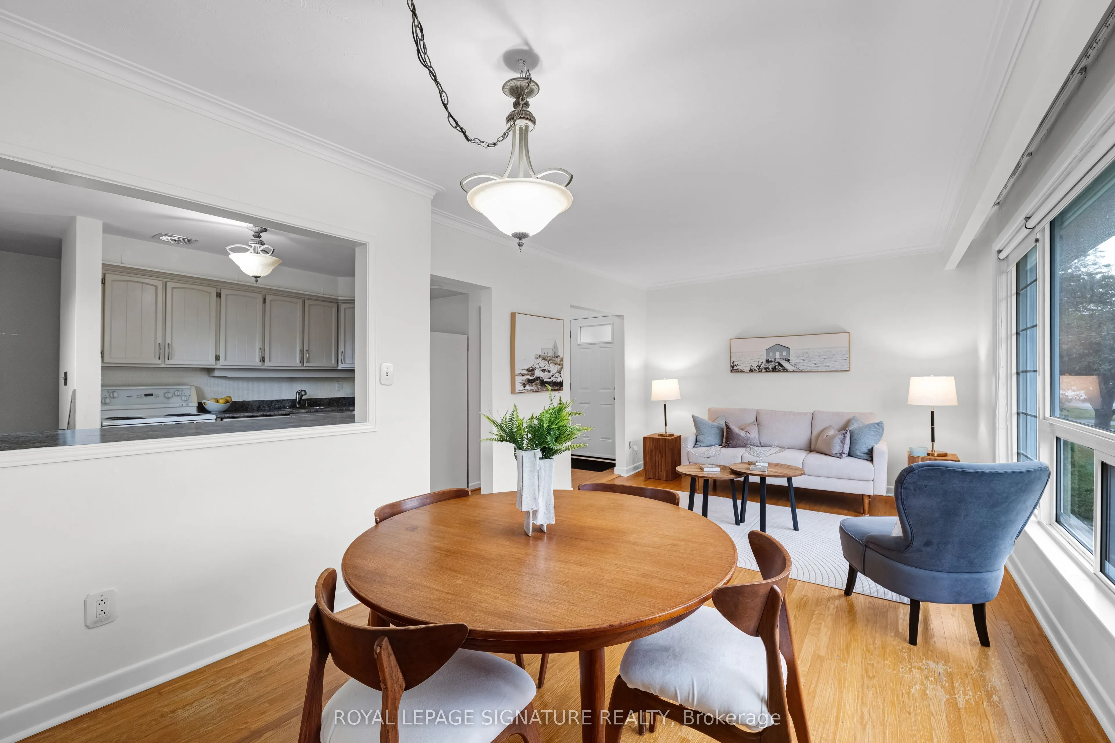 50 Celeste Drive