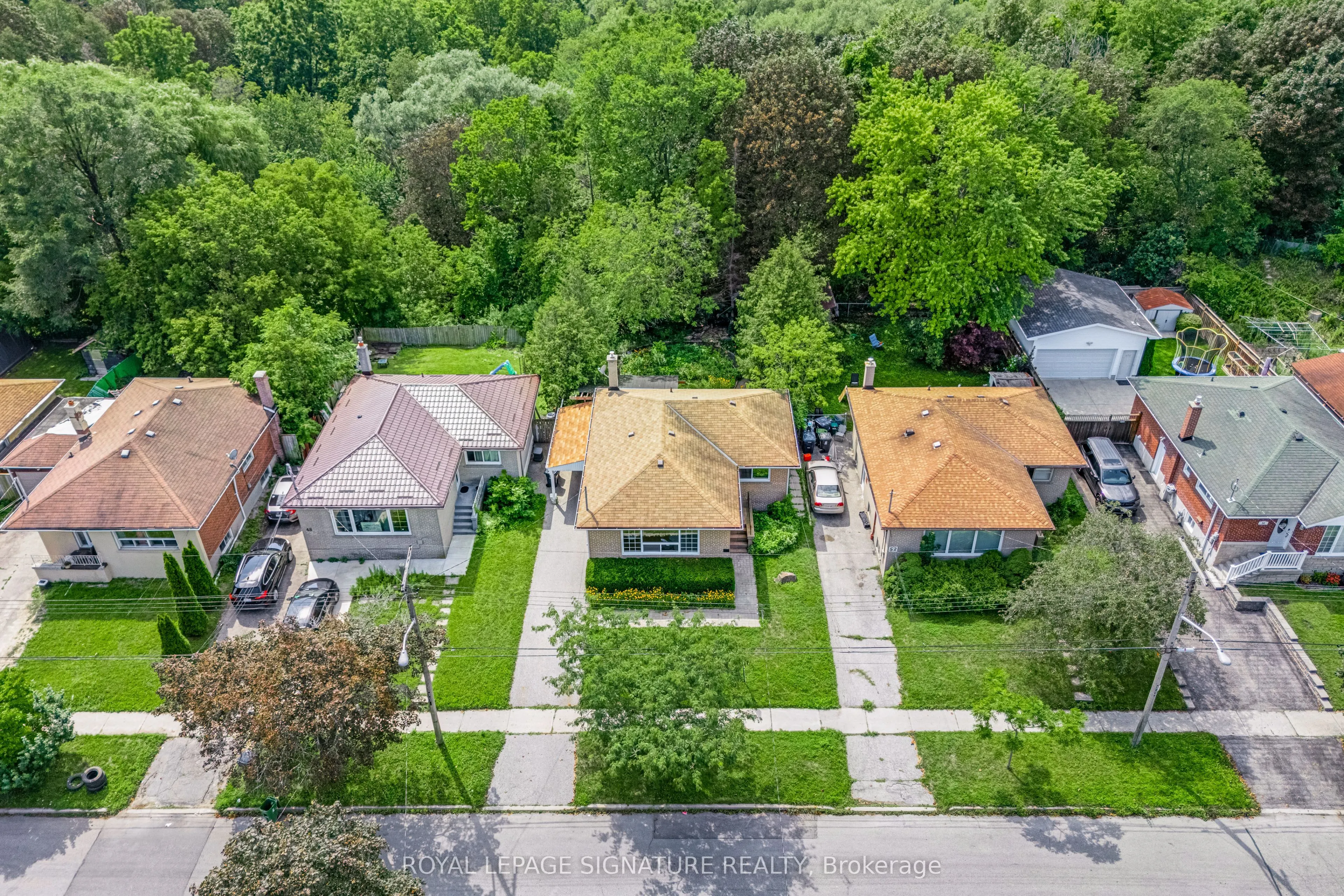 50 Celeste Drive