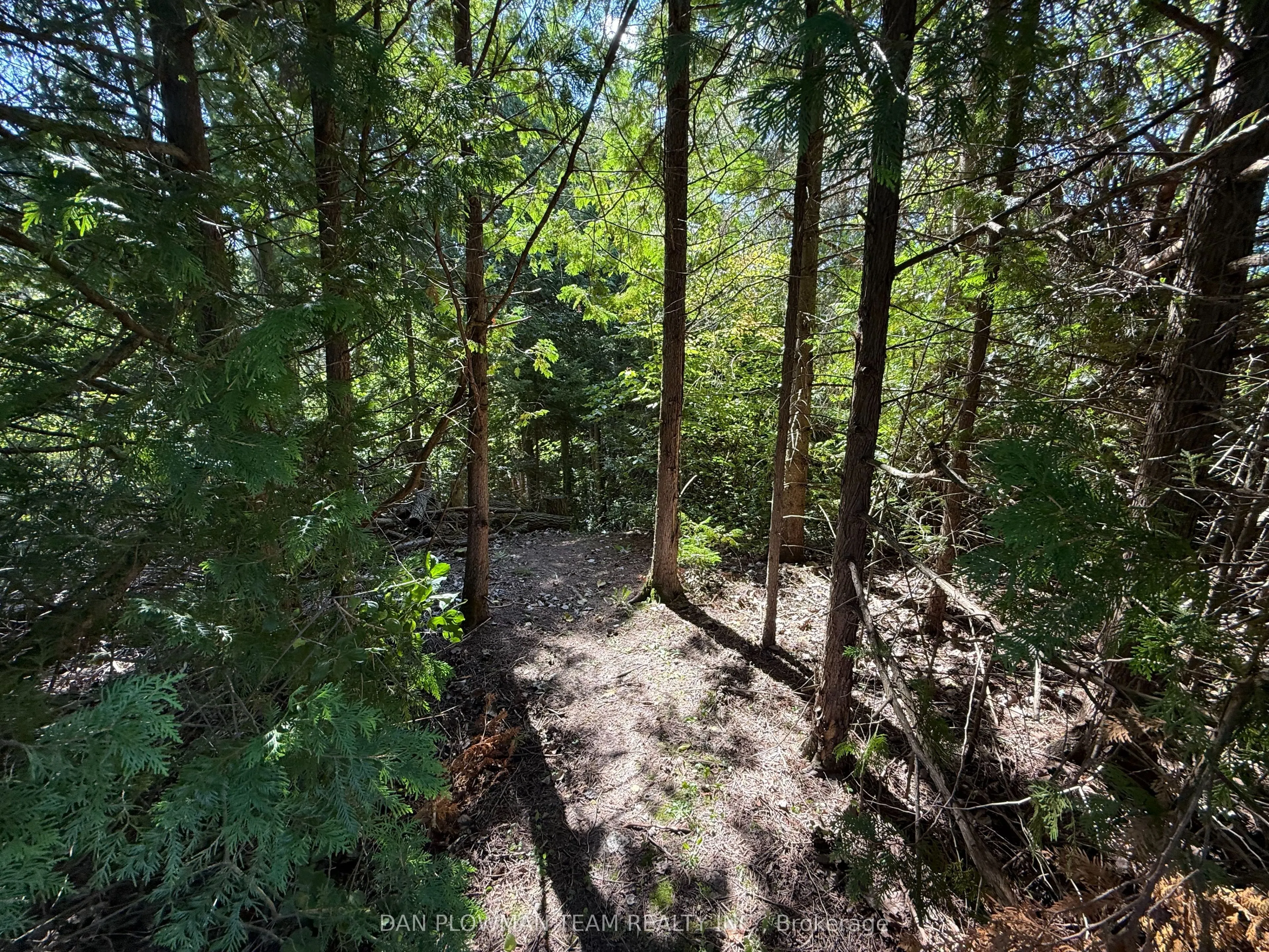 6458 Gibbs Road